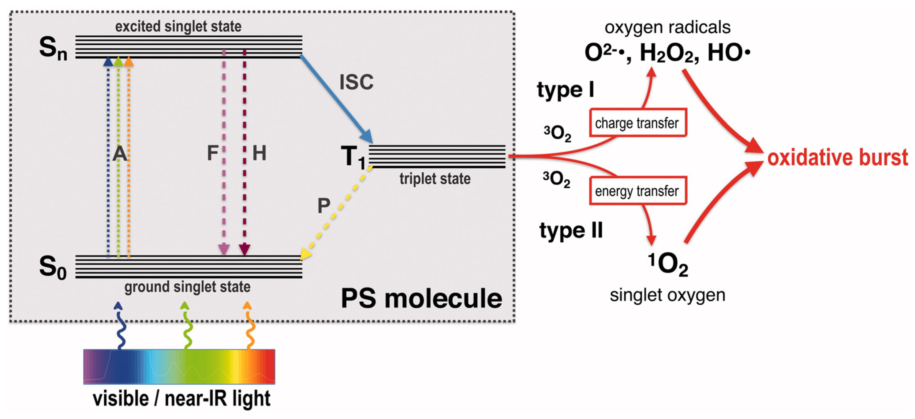 Nanomaterials 14 01244 g006