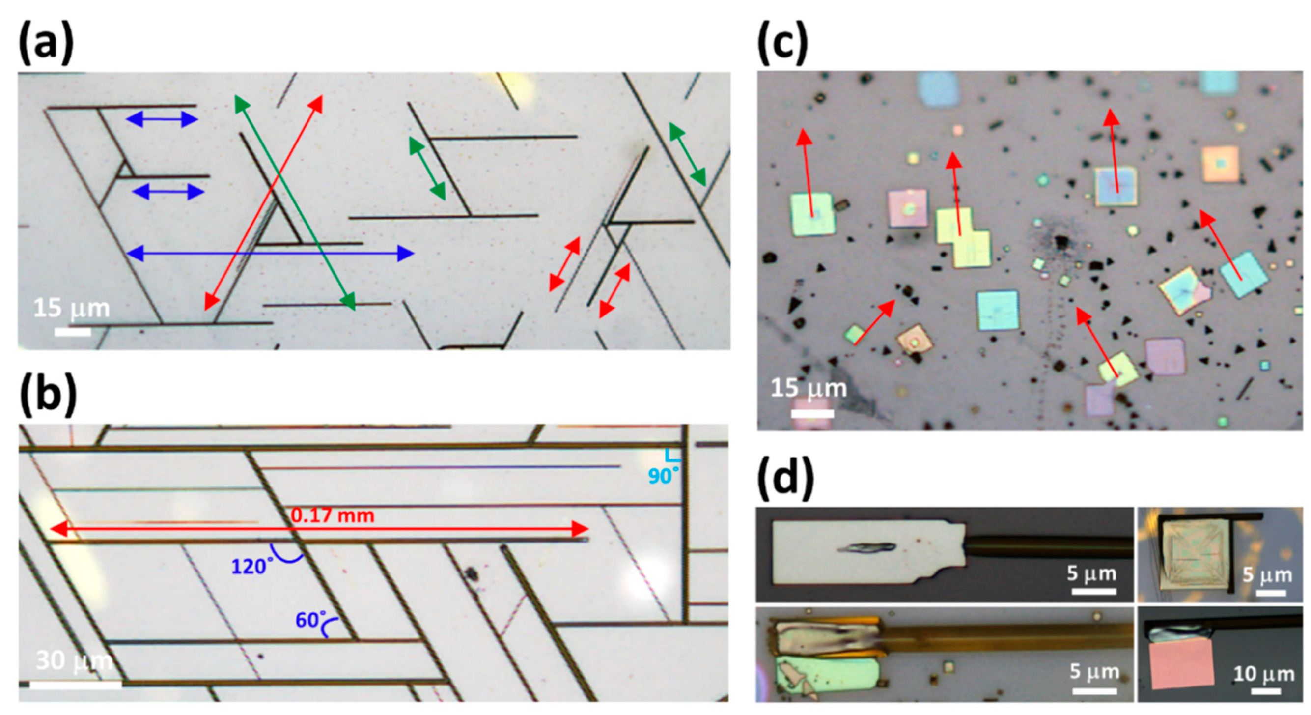 Nanomaterials 14 01248 g005