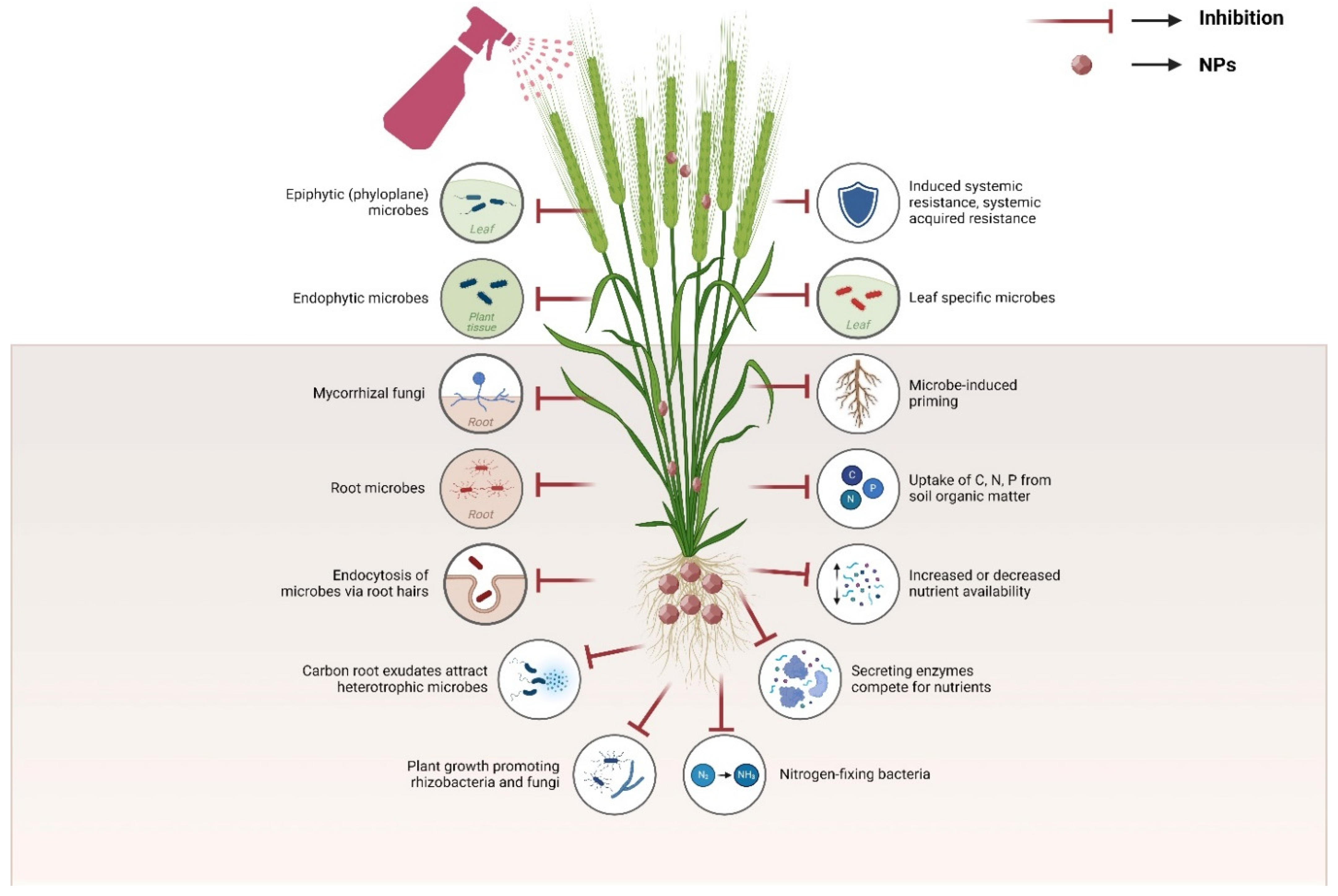 Nanomaterials 14 01249 g003