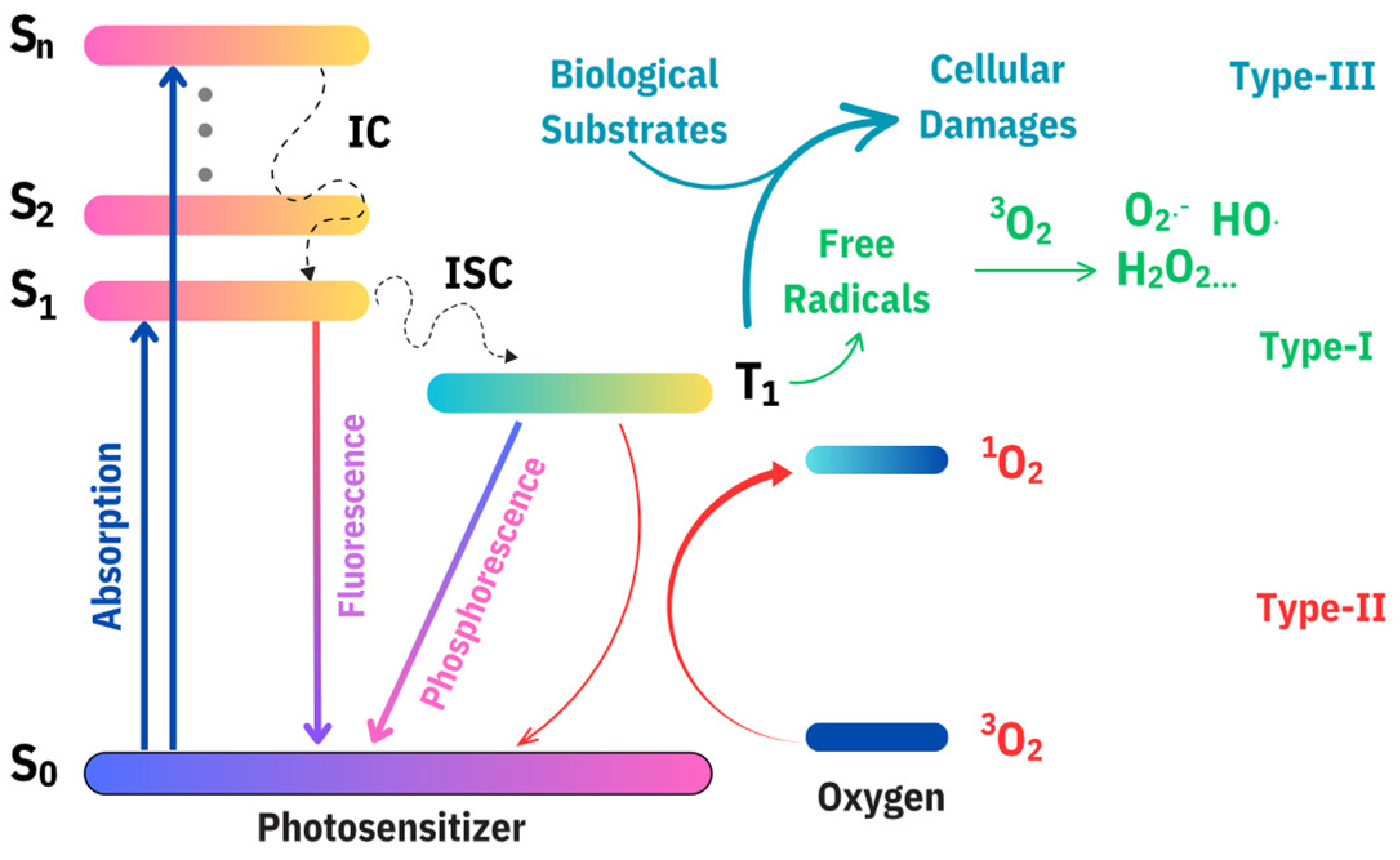 Nanomaterials 14 01250 g001