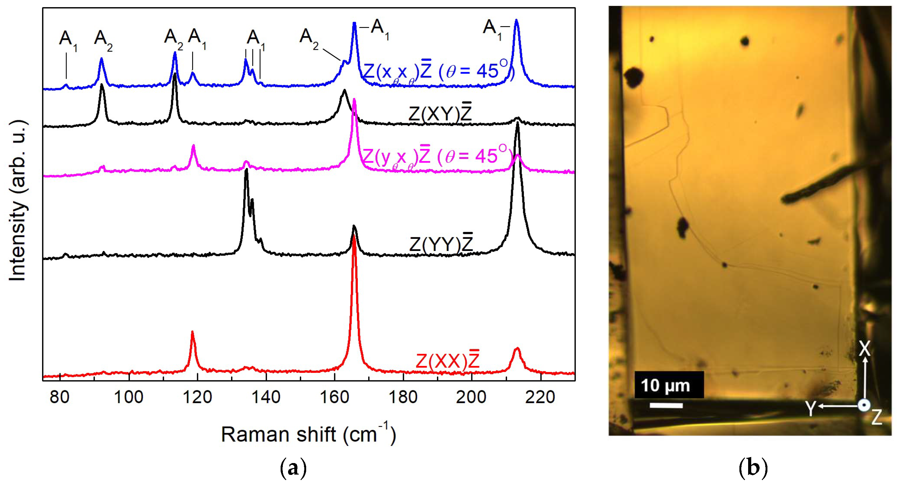 Nanomaterials 14 01256 g003
