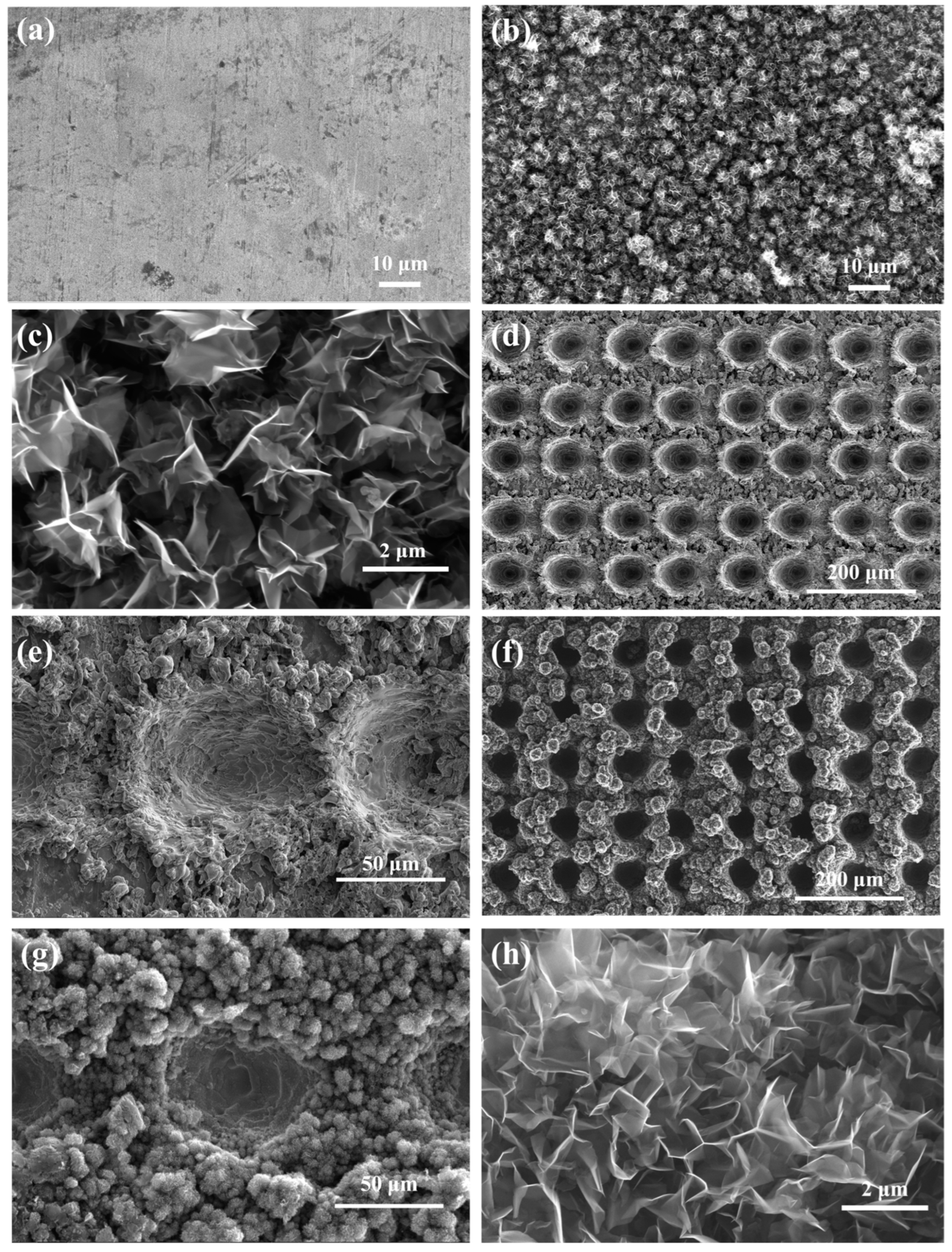 Nanomaterials 14 01268 g002