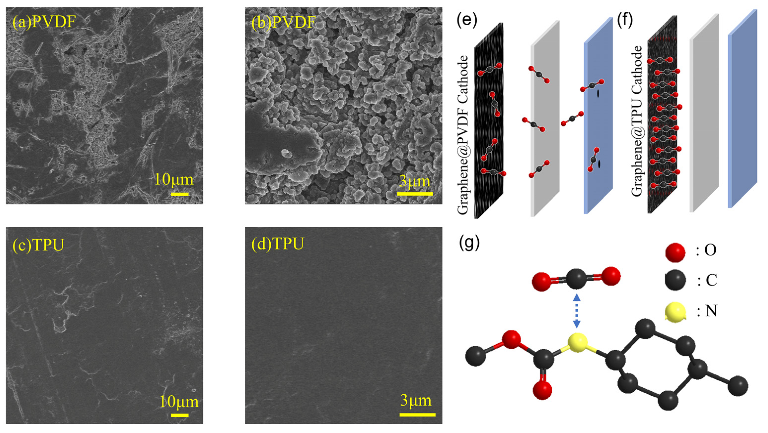 Nanomaterials 14 01269 g009
