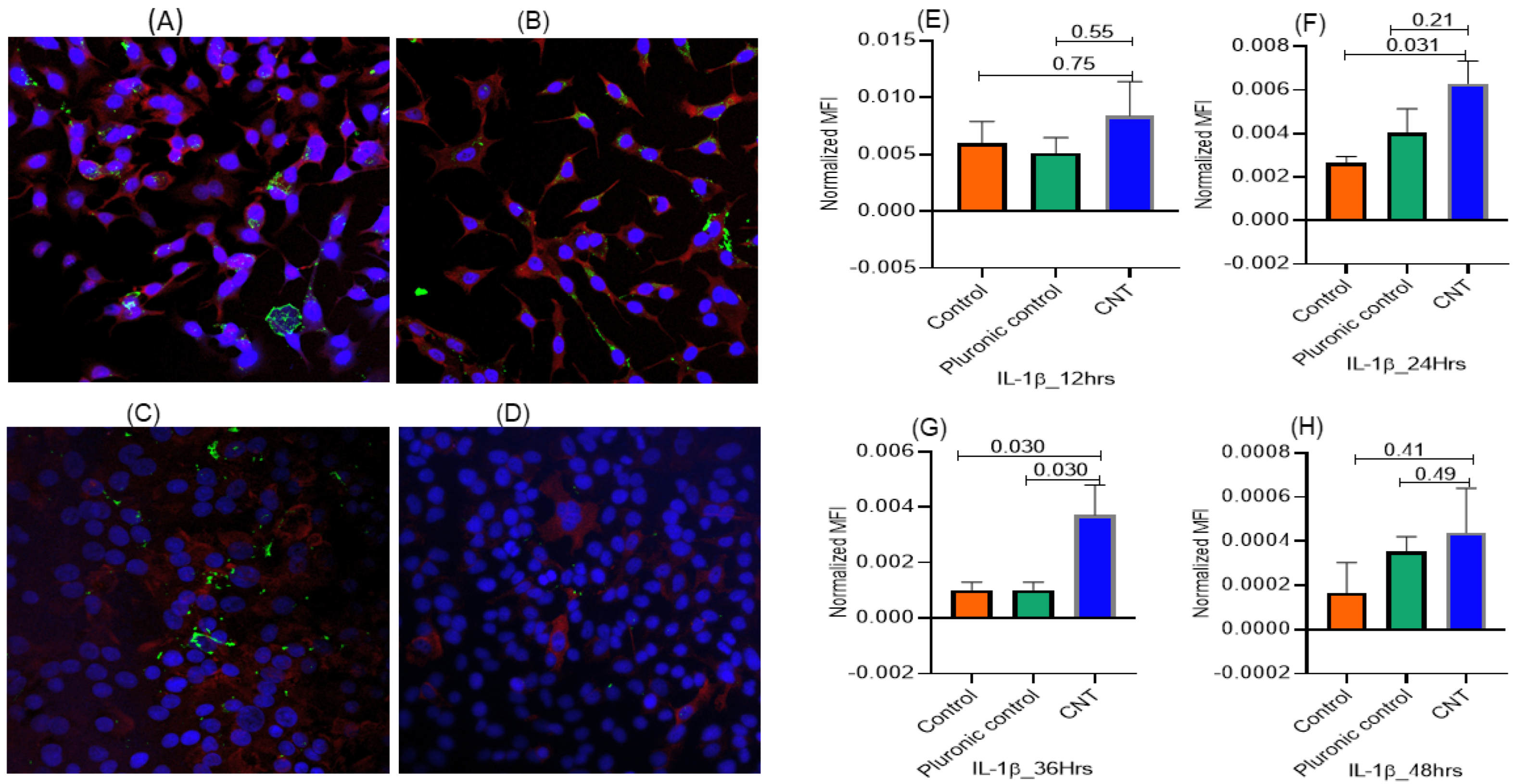 Nanomaterials 14 01273 g004