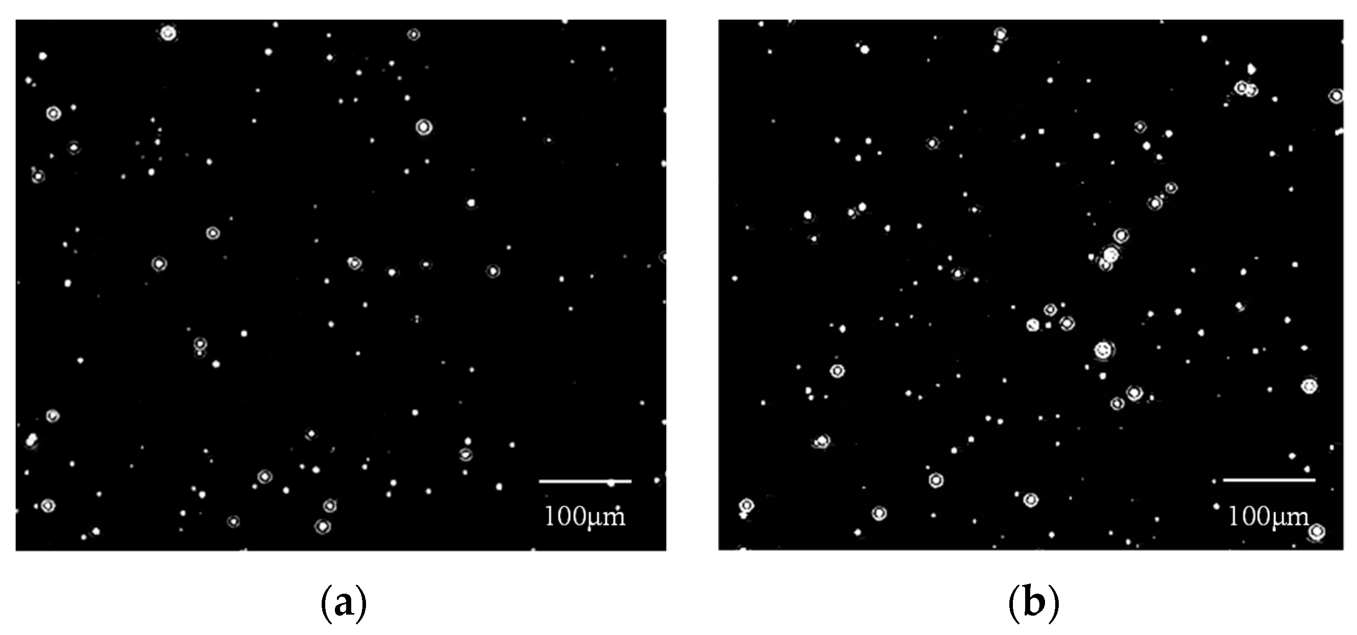 Nanomaterials 14 01280 g011