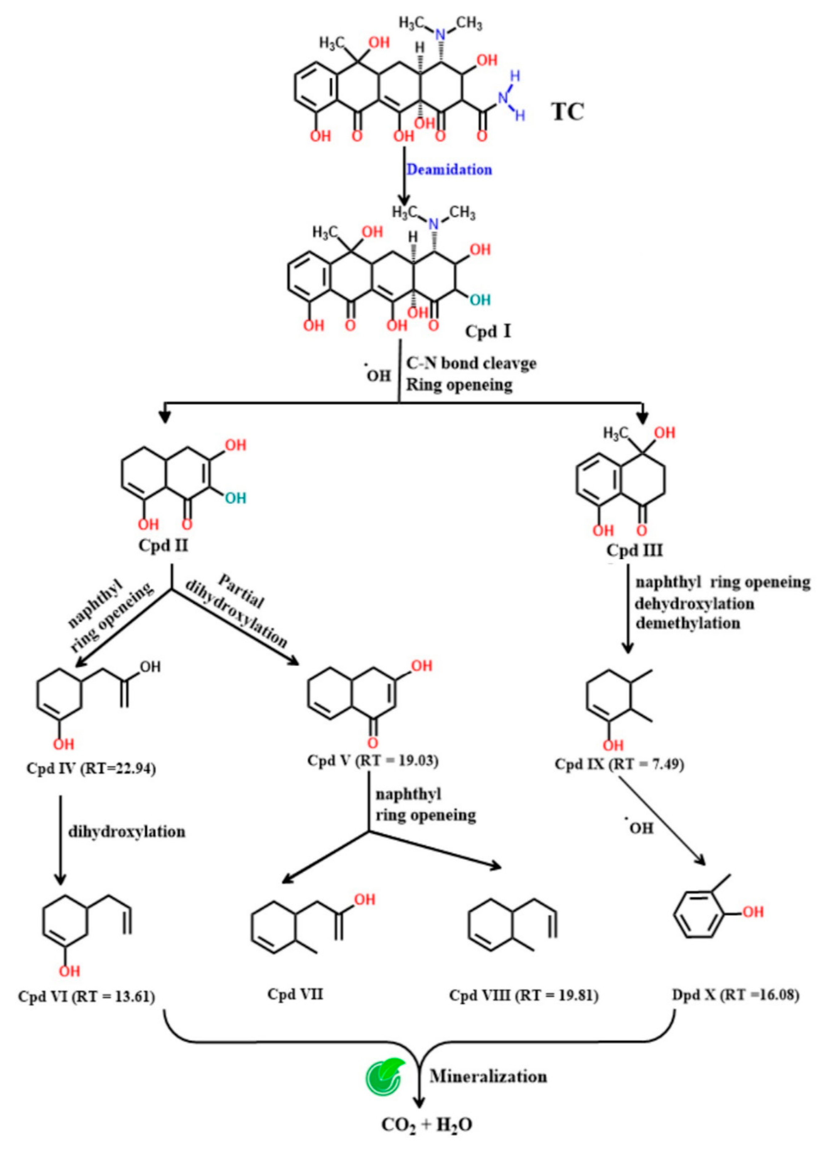 Nanomaterials 14 01282 g009