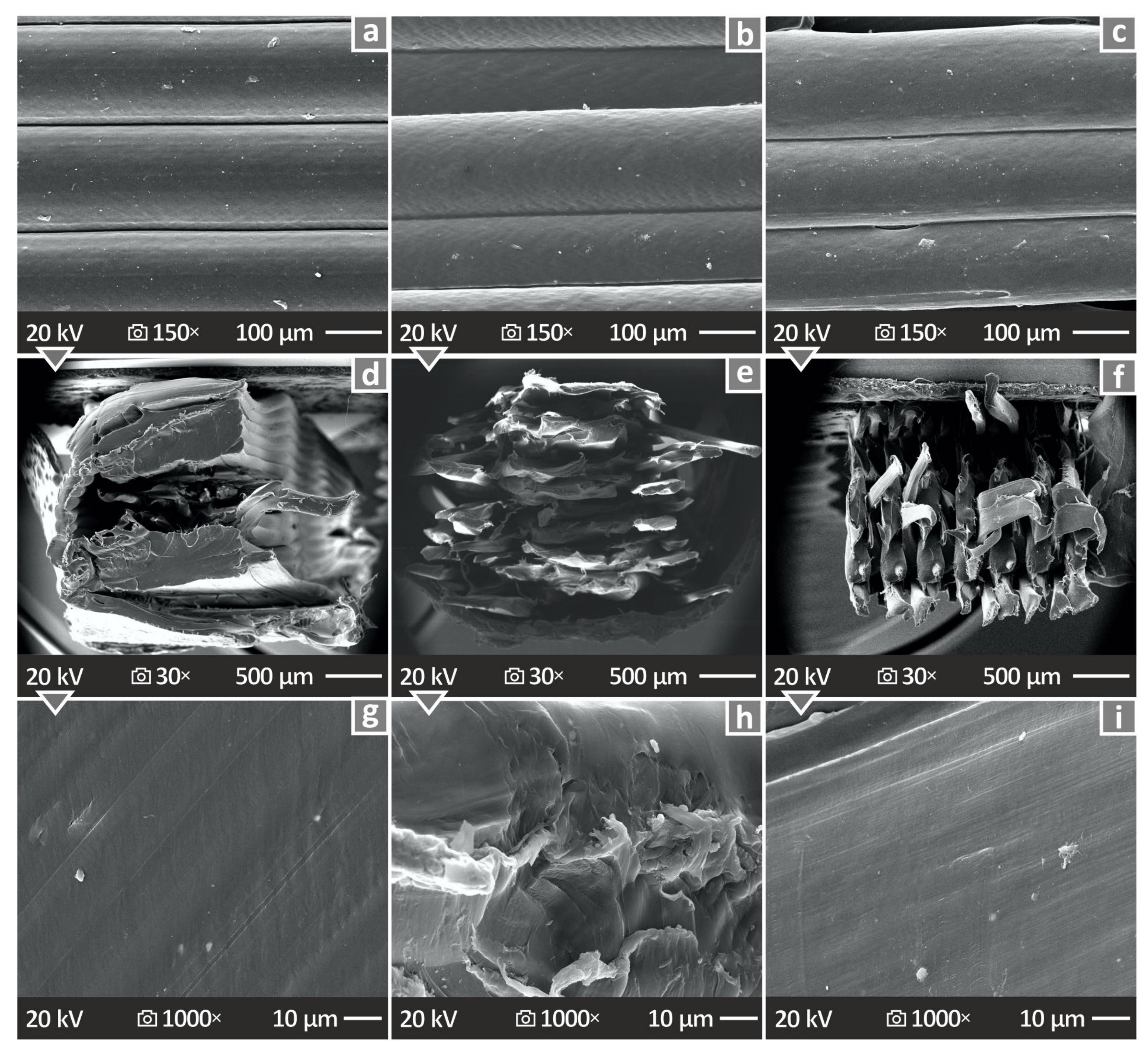 Nanomaterials 14 01285 g013
