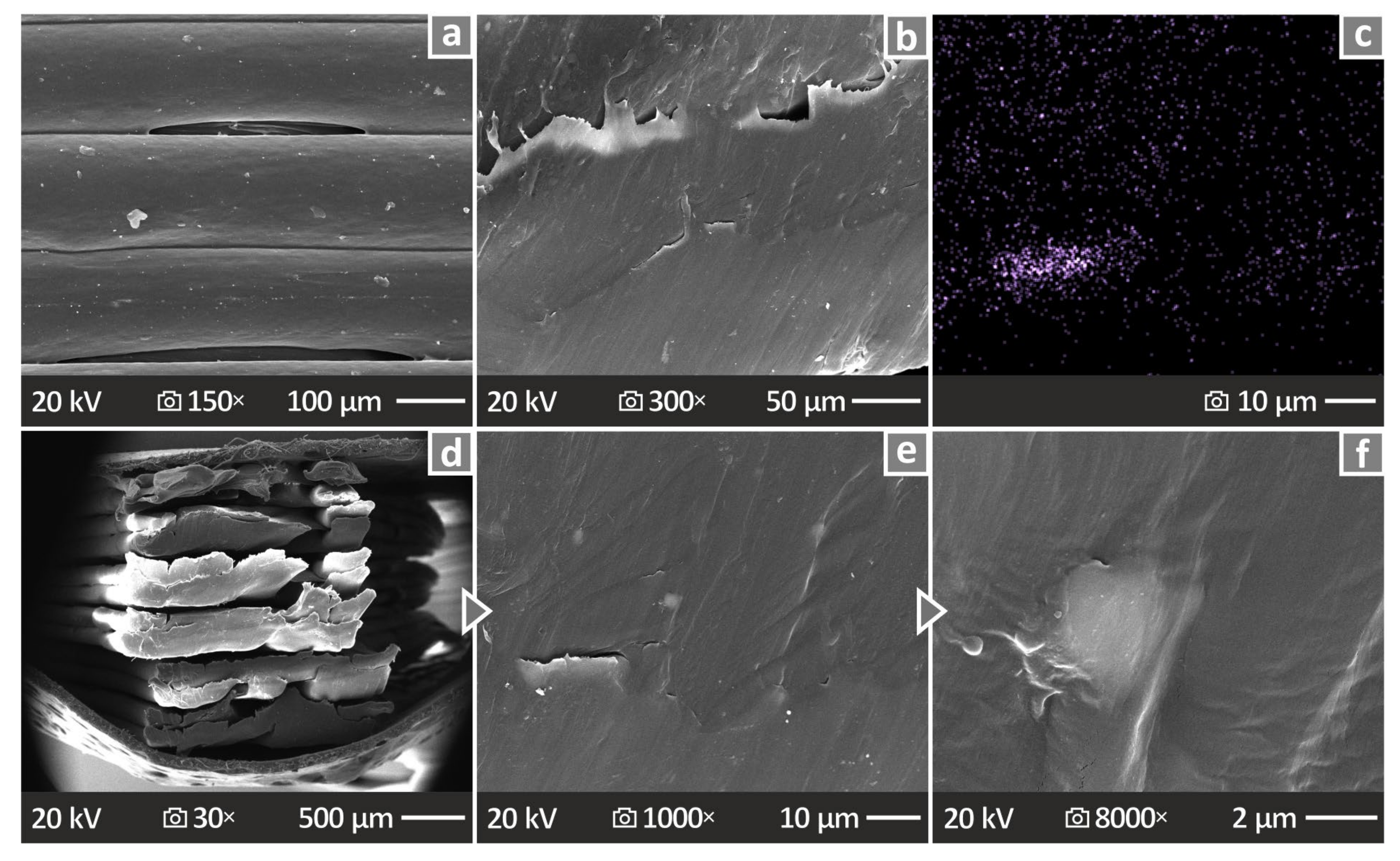 Nanomaterials 14 01285 g014