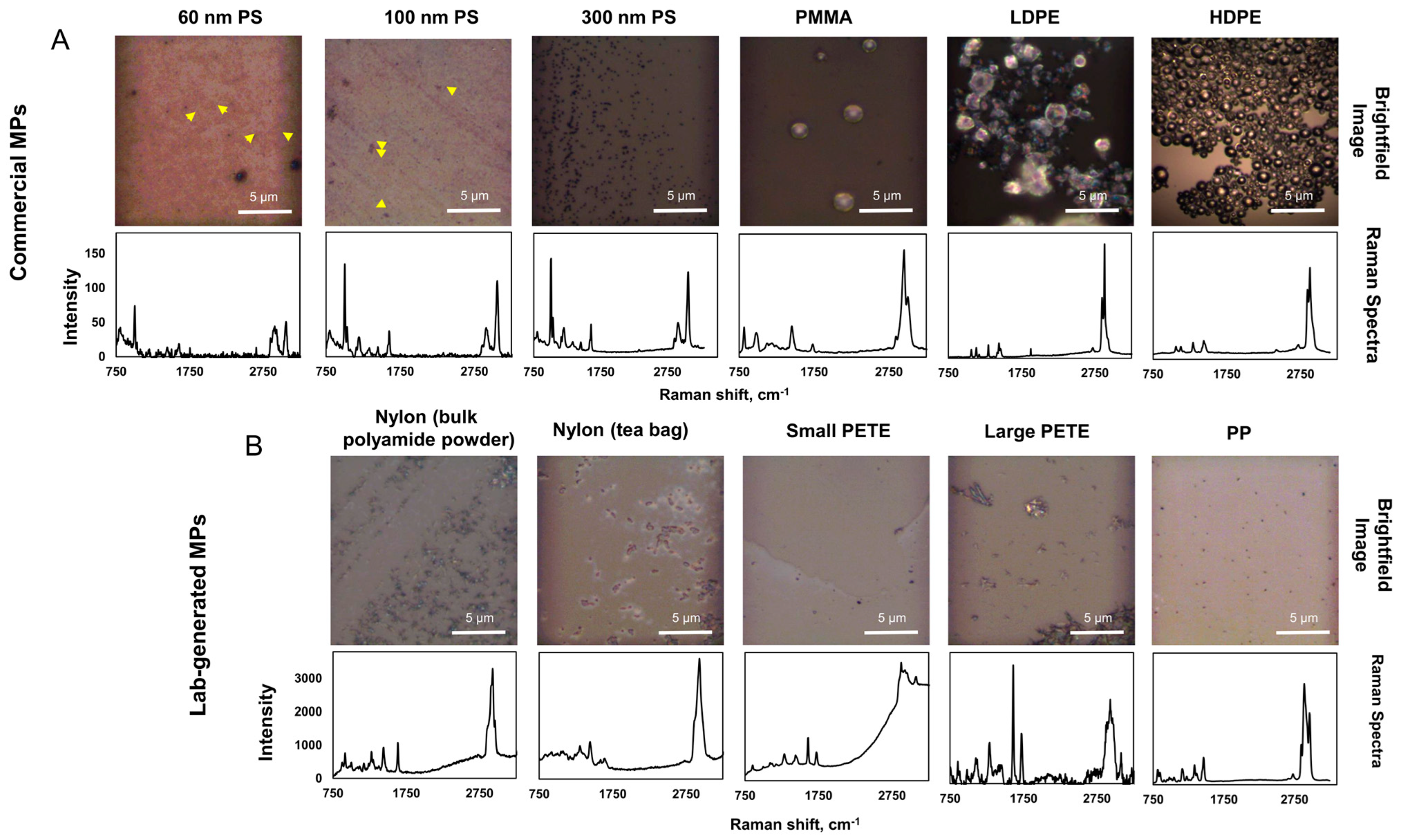 Nanomaterials 14 01287 g002