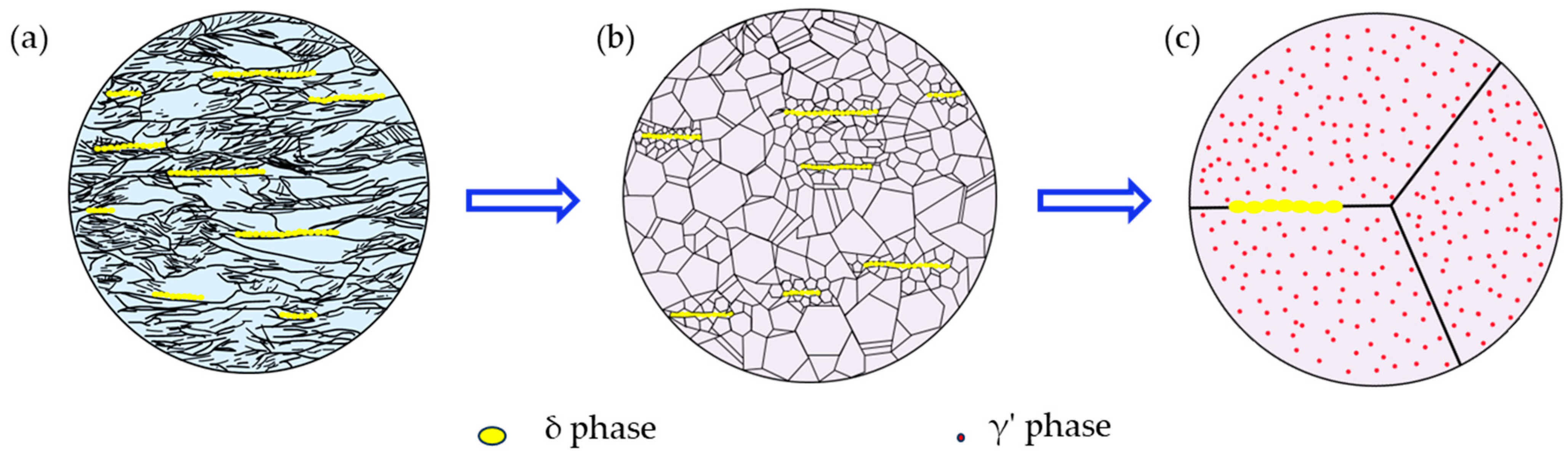 Nanomaterials 14 01296 g007
