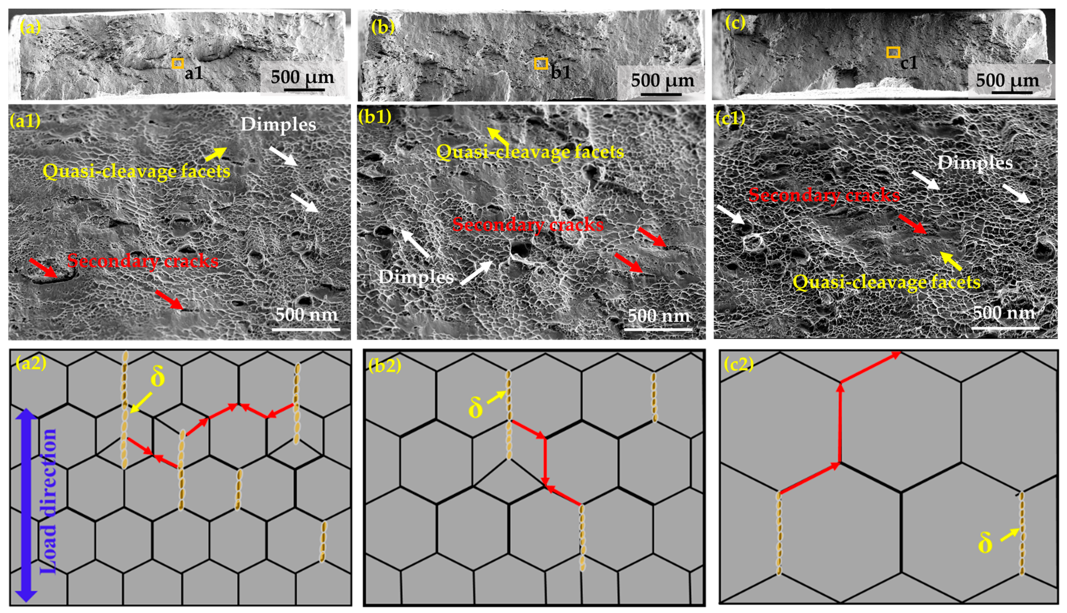 Nanomaterials 14 01296 g009