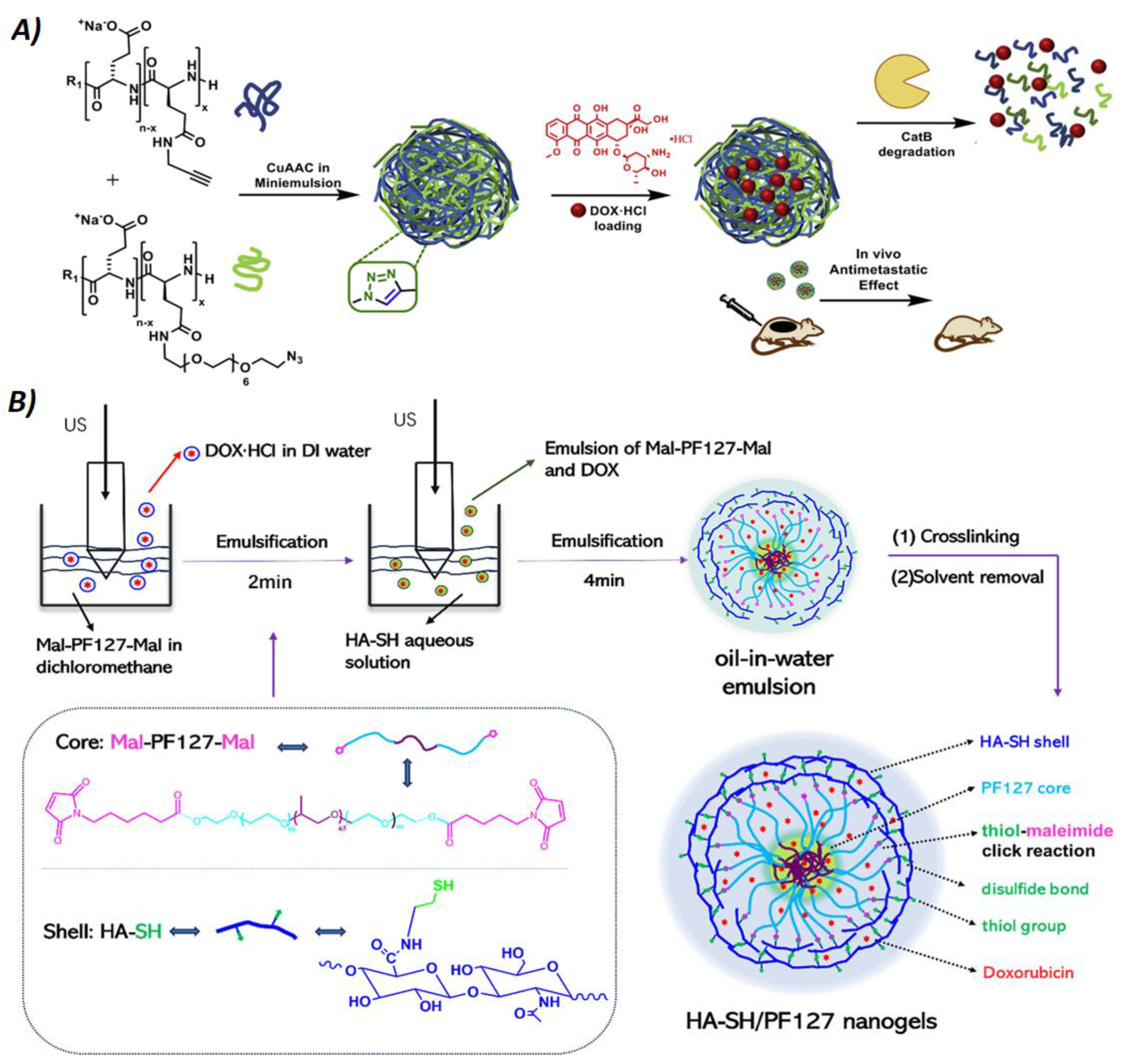 Nanomaterials 14 01300 g005