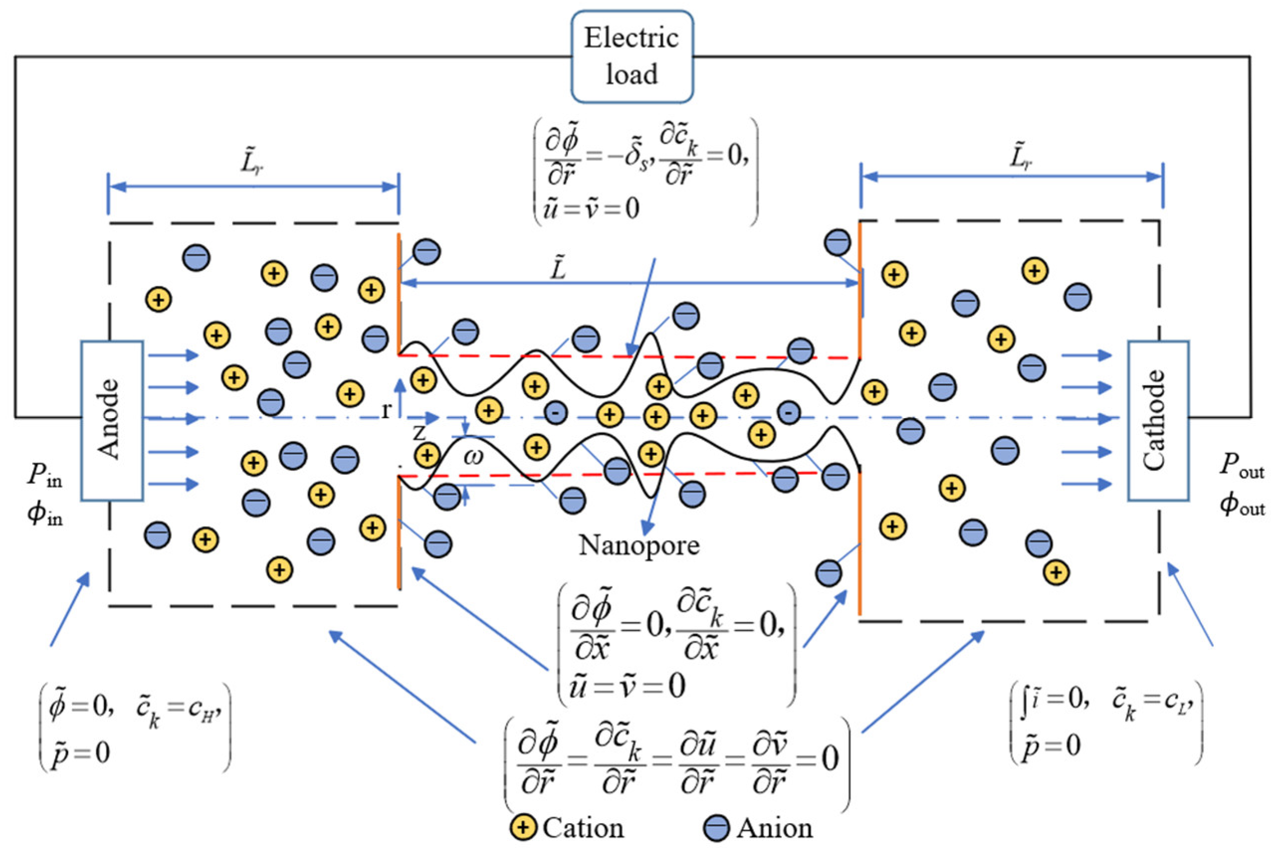 Nanomaterials 14 01302 g001
