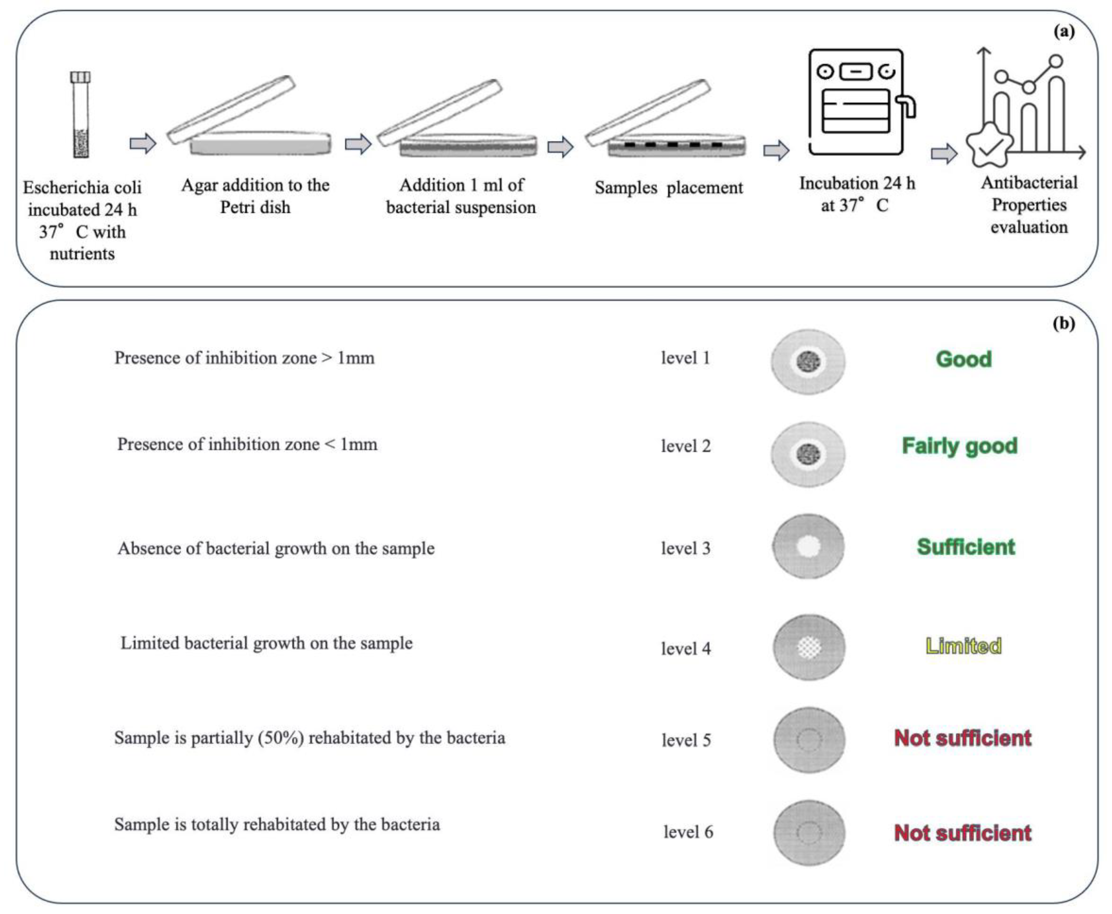 Nanomaterials 14 01309 g002