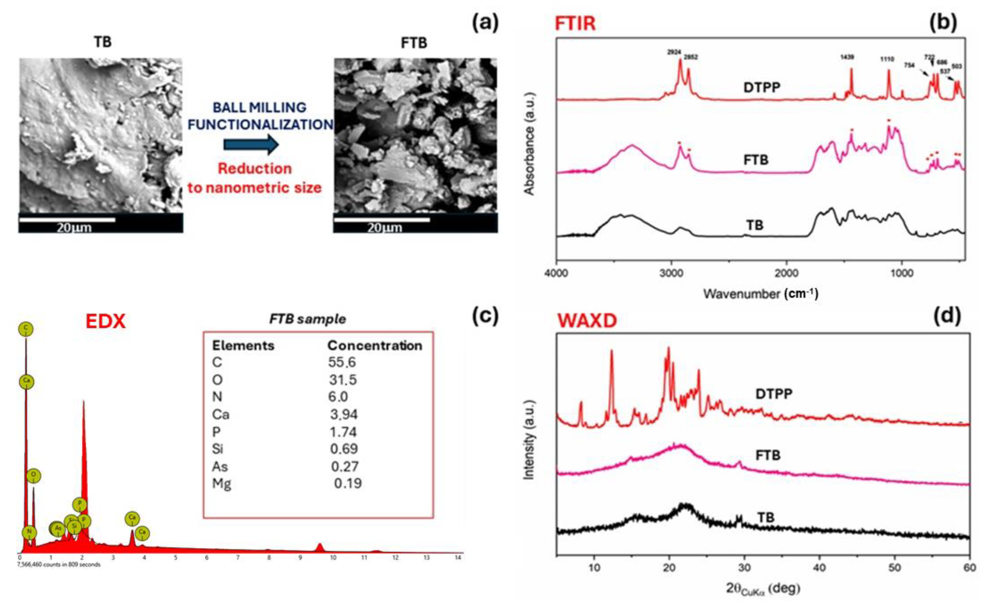 Nanomaterials 14 01309 g005