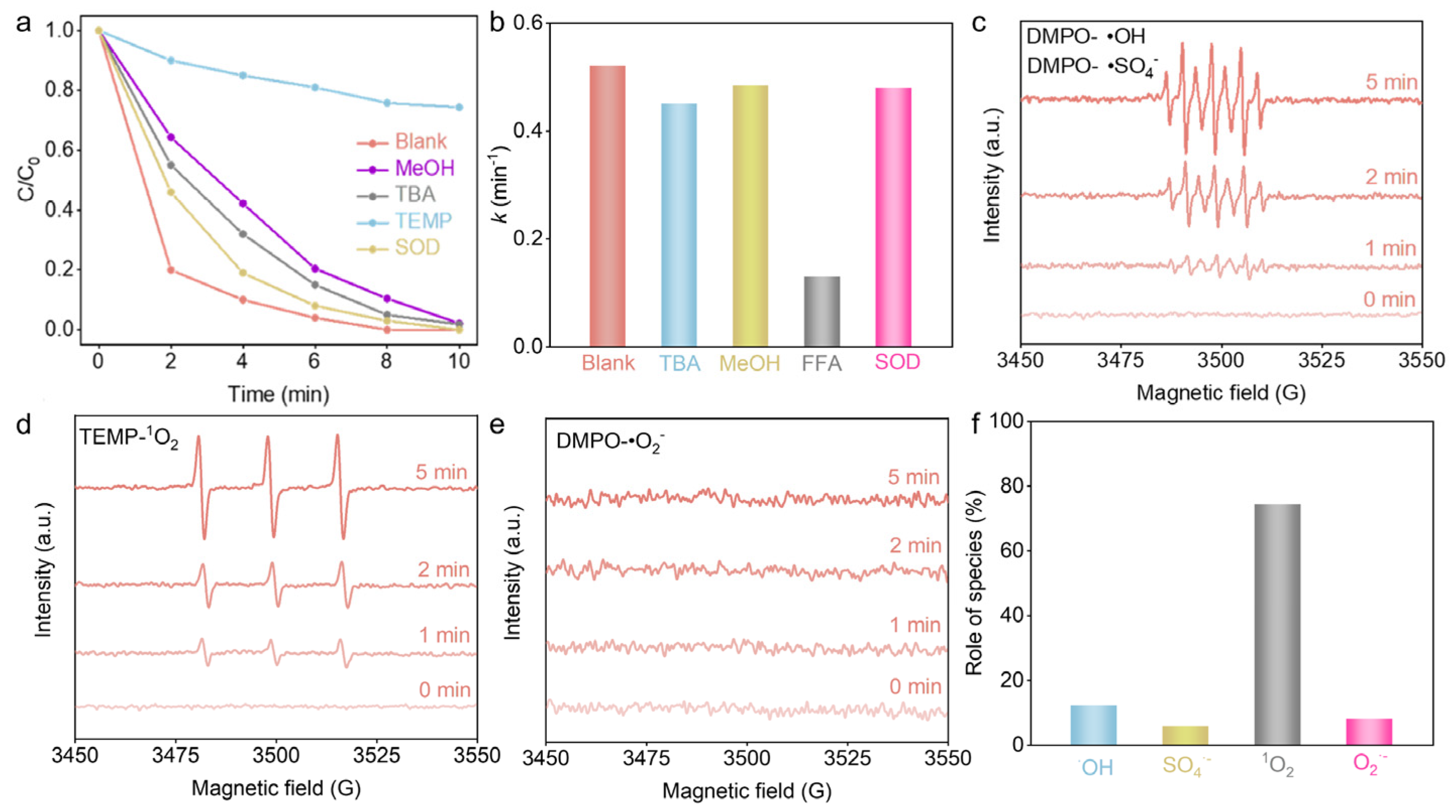 Nanomaterials 14 01312 g004