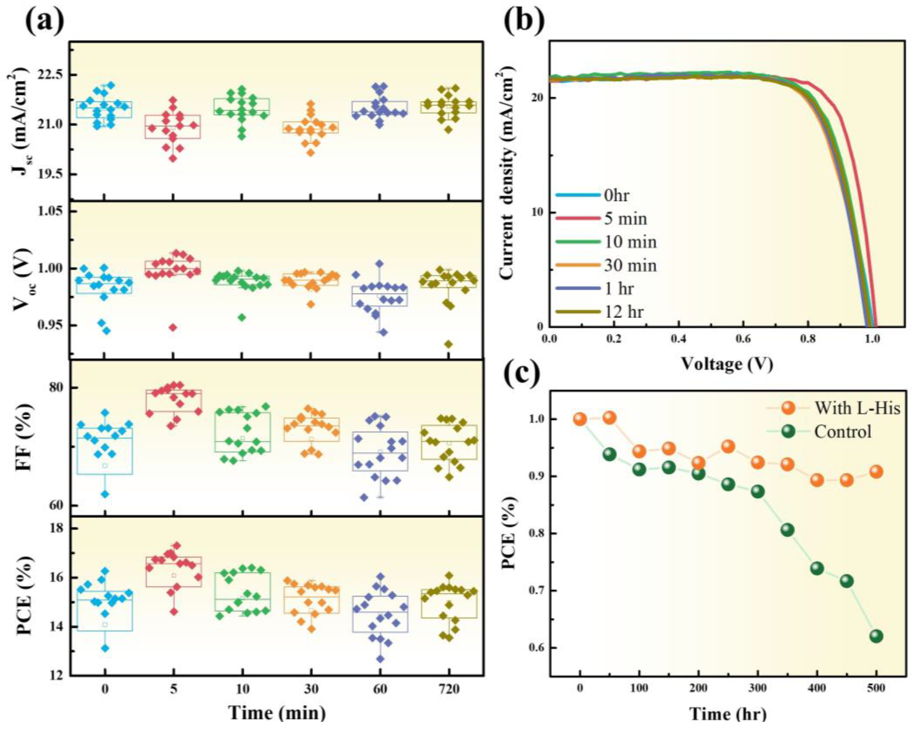 Nanomaterials 14 01315 g003