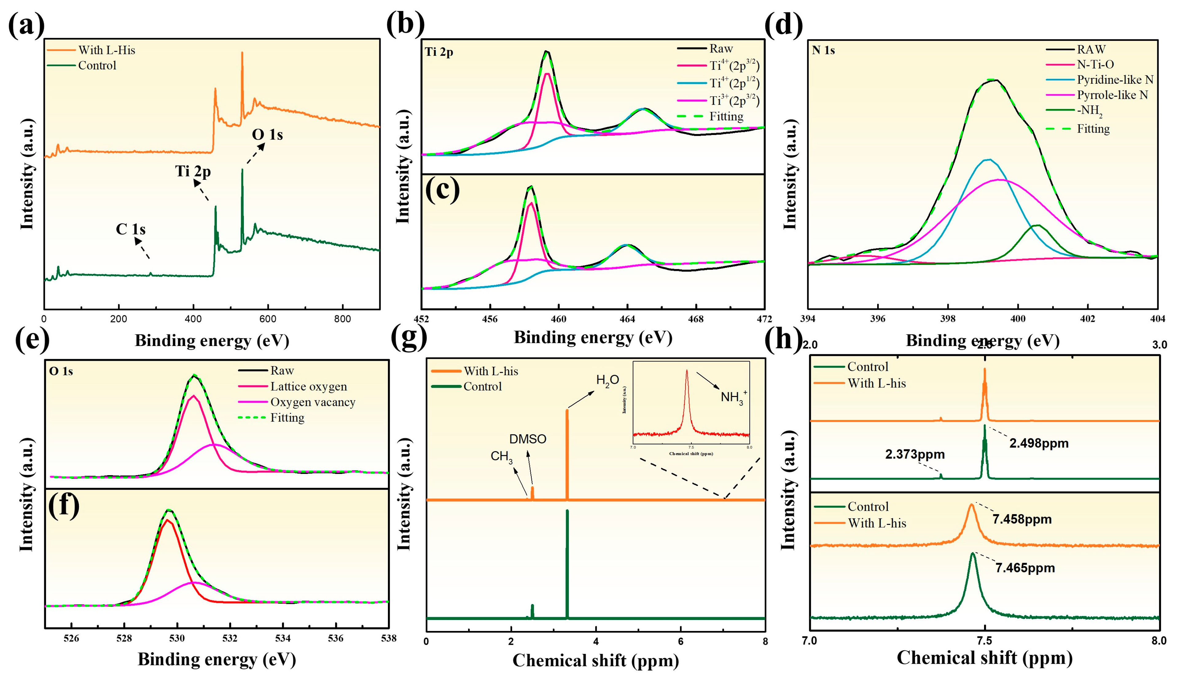 Nanomaterials 14 01315 g007