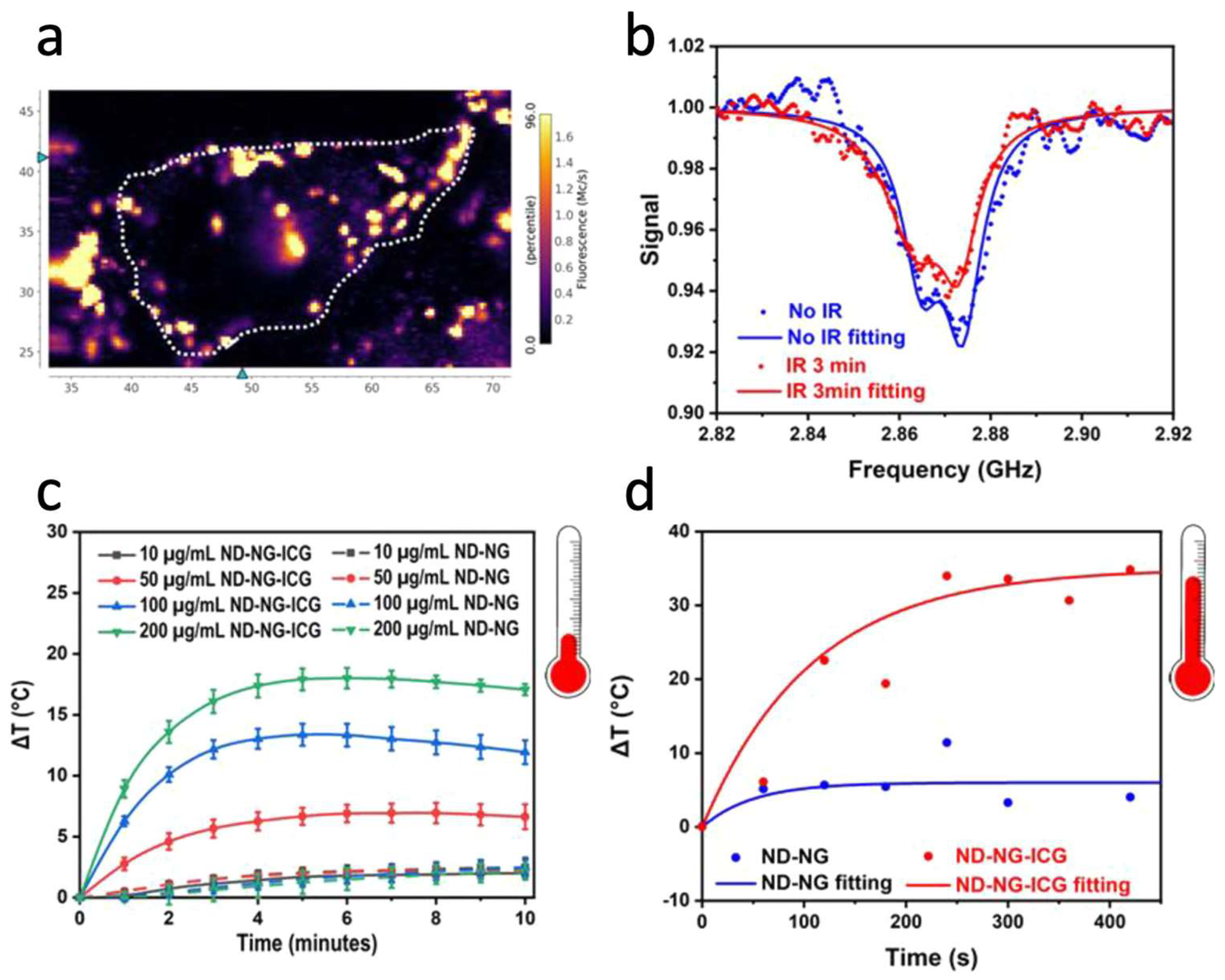Nanomaterials 14 01318 g004