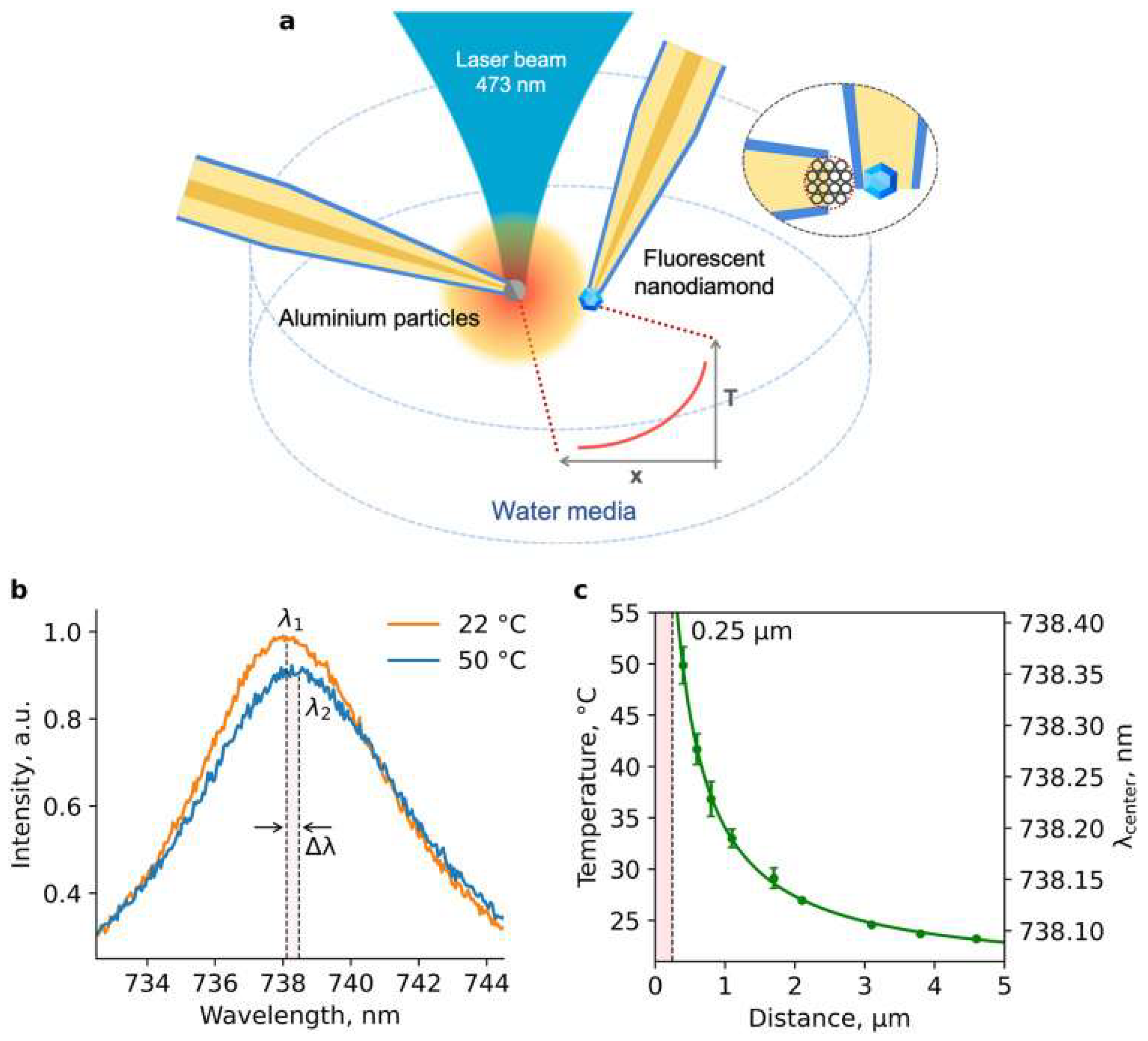 Nanomaterials 14 01318 g006