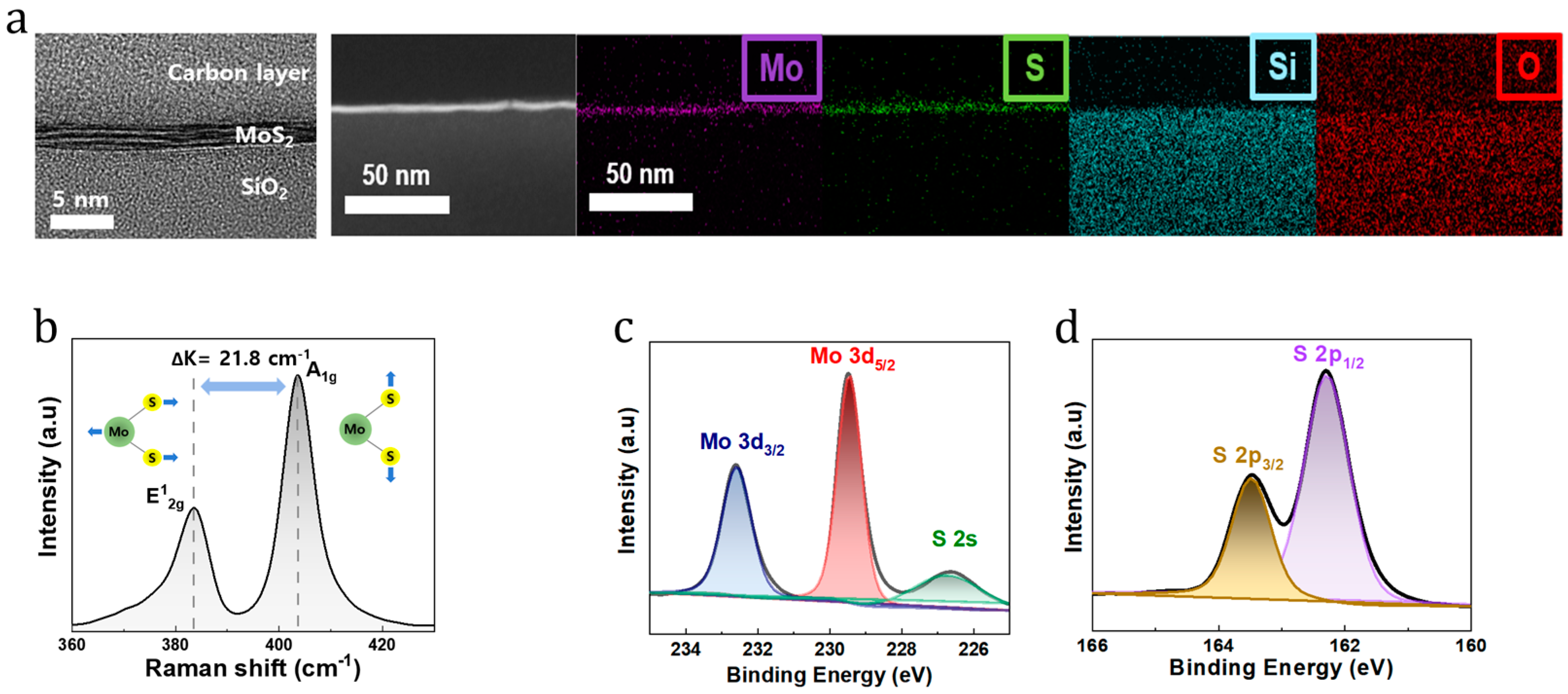 Nanomaterials 14 01324 g002