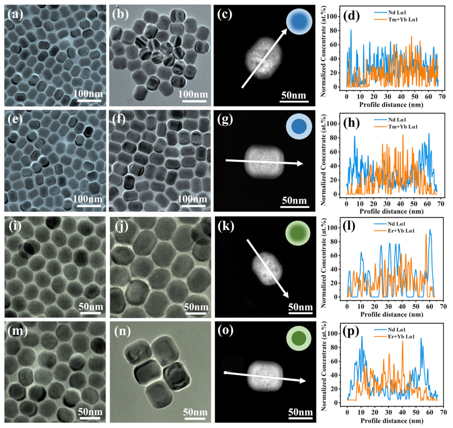 Nanomaterials 14 01326 g002