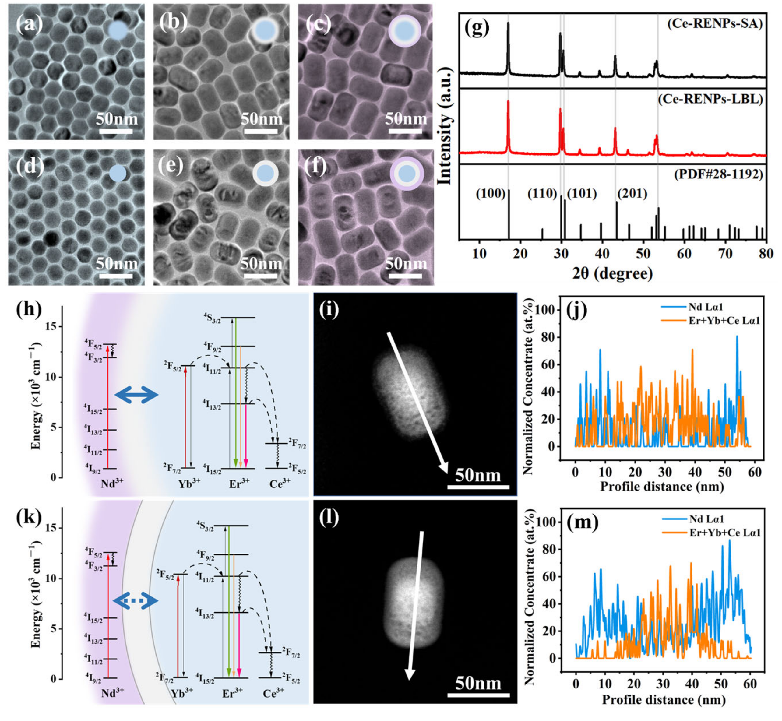 Nanomaterials 14 01326 g003