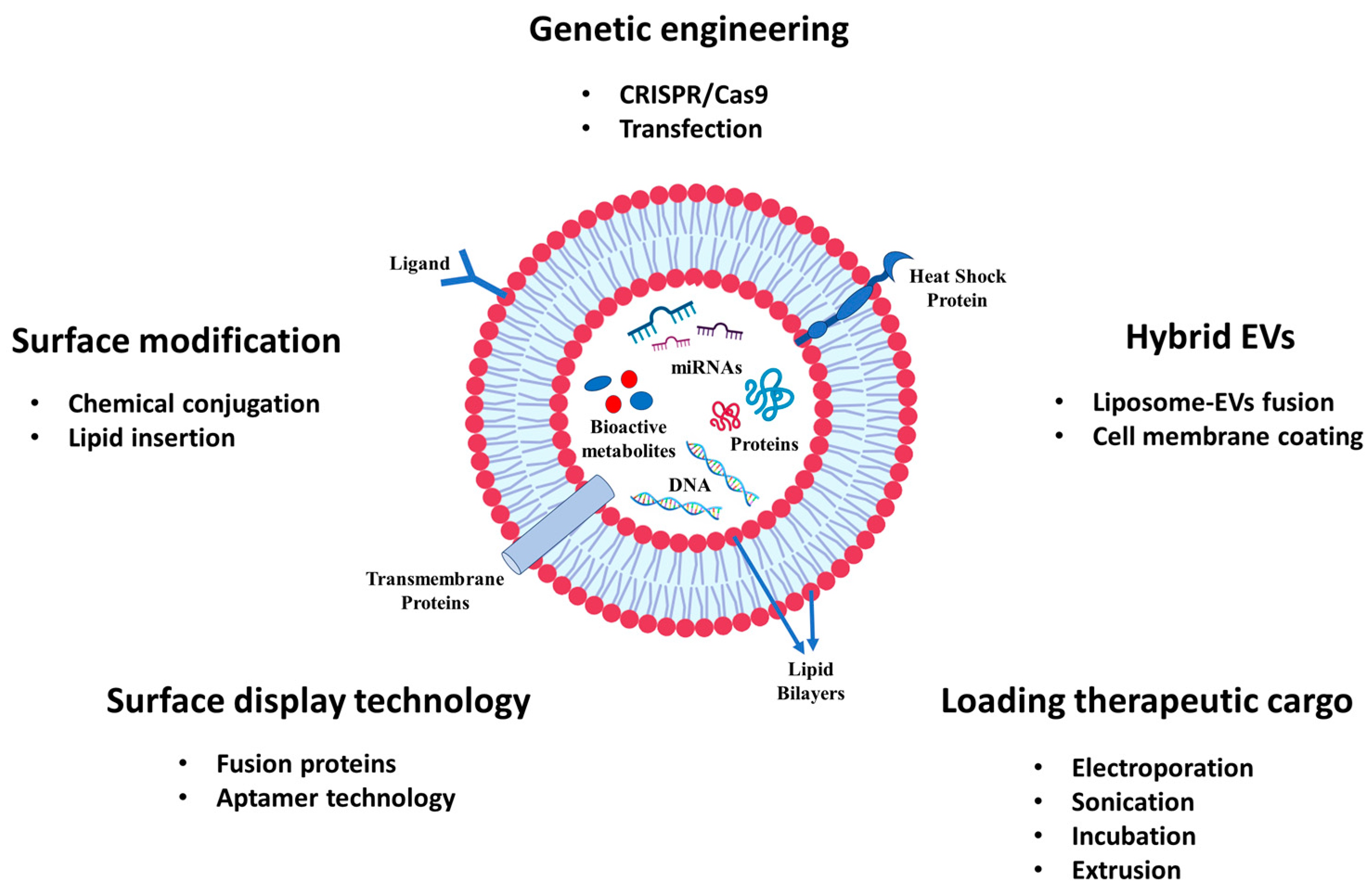 Nanomaterials 14 01331 g002