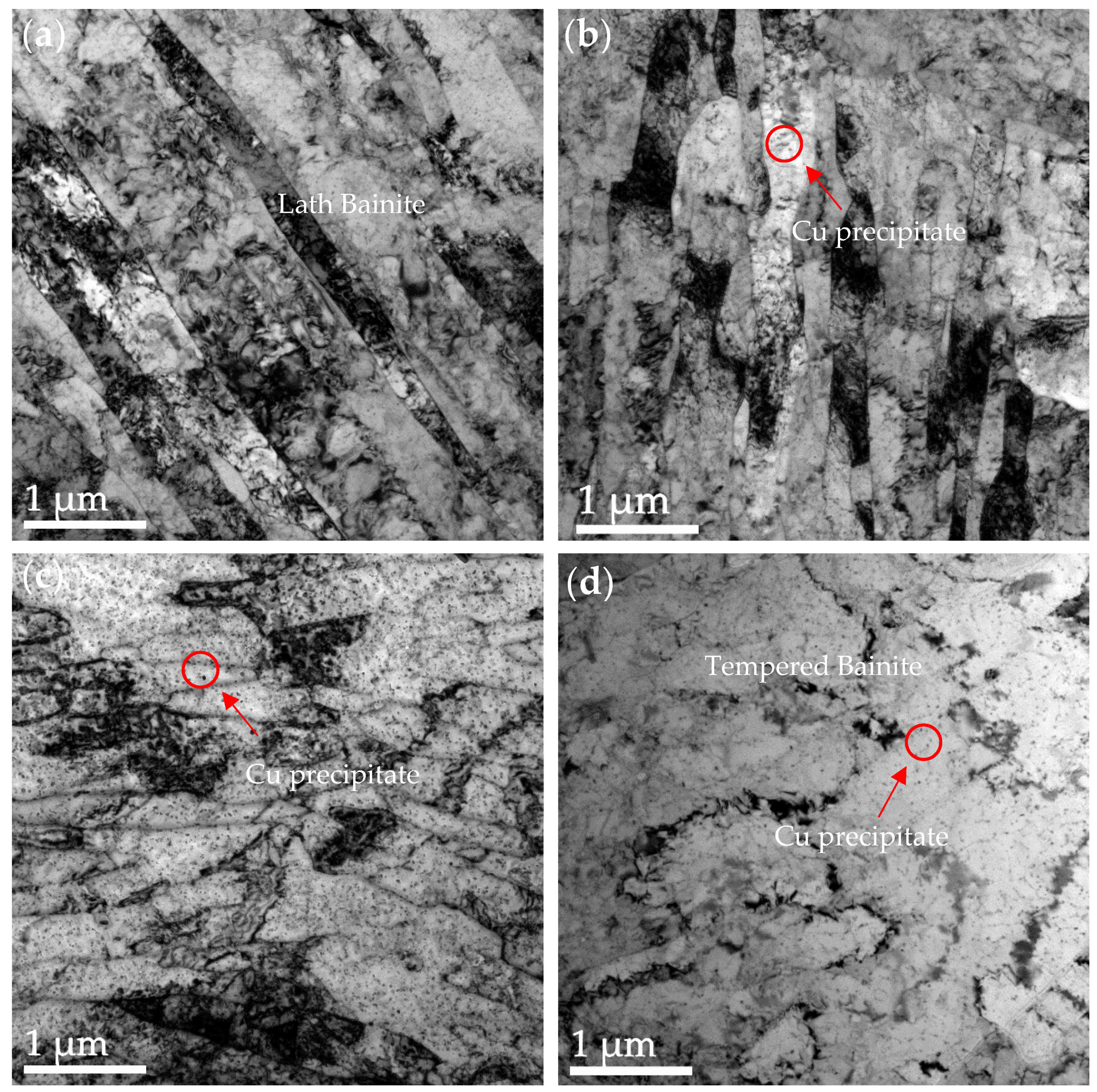 Nanomaterials 14 01335 g003