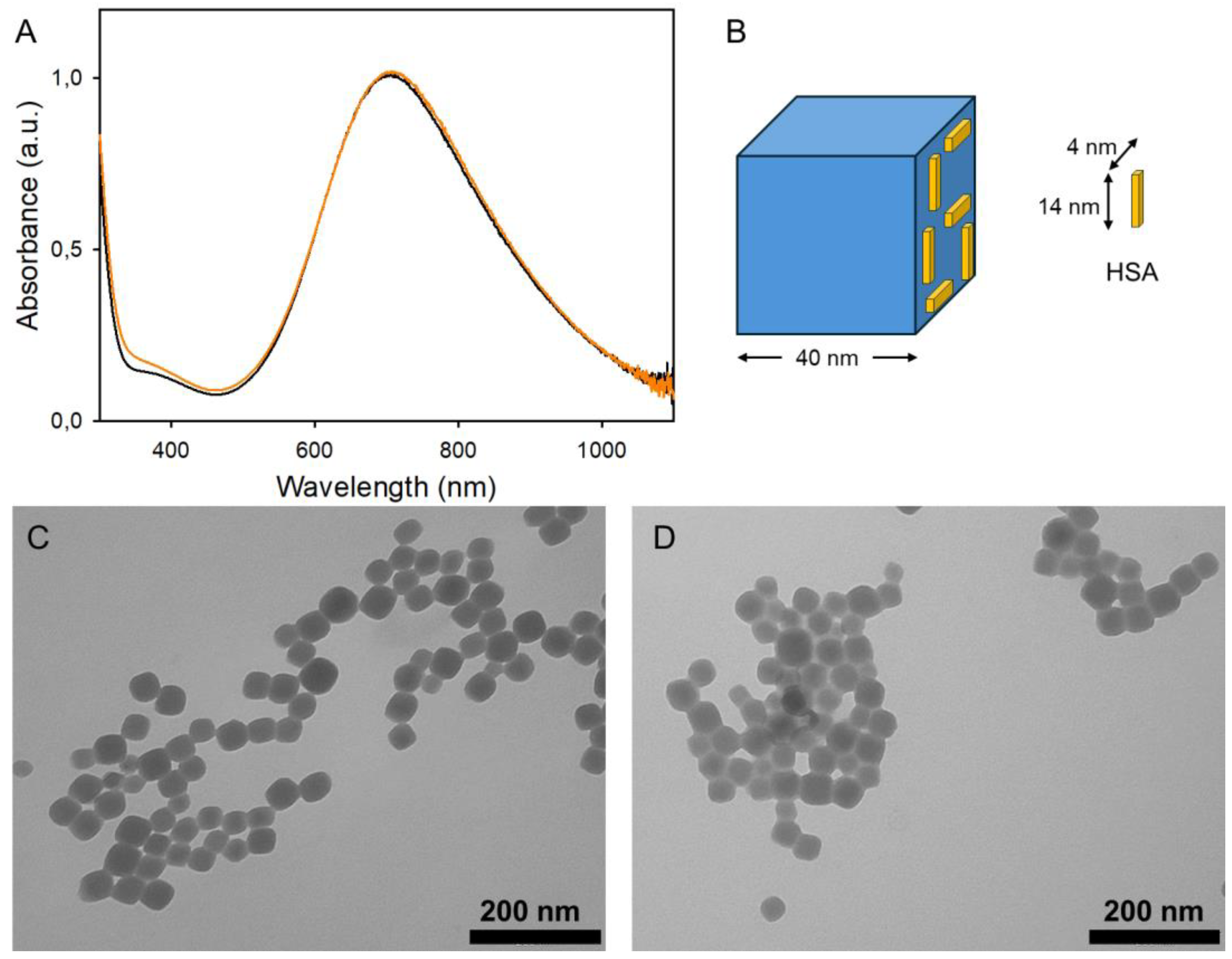 Nanomaterials 14 01336 g001
