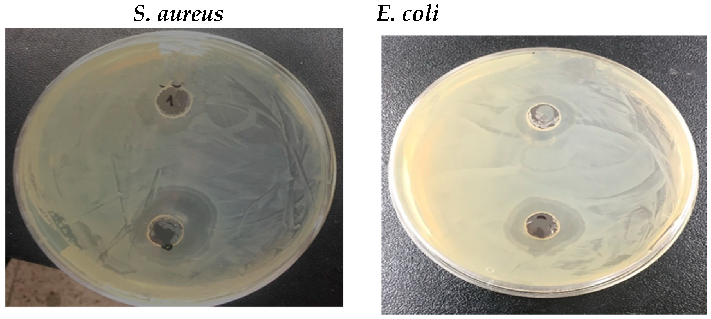 Nanomaterials 14 01339 g007