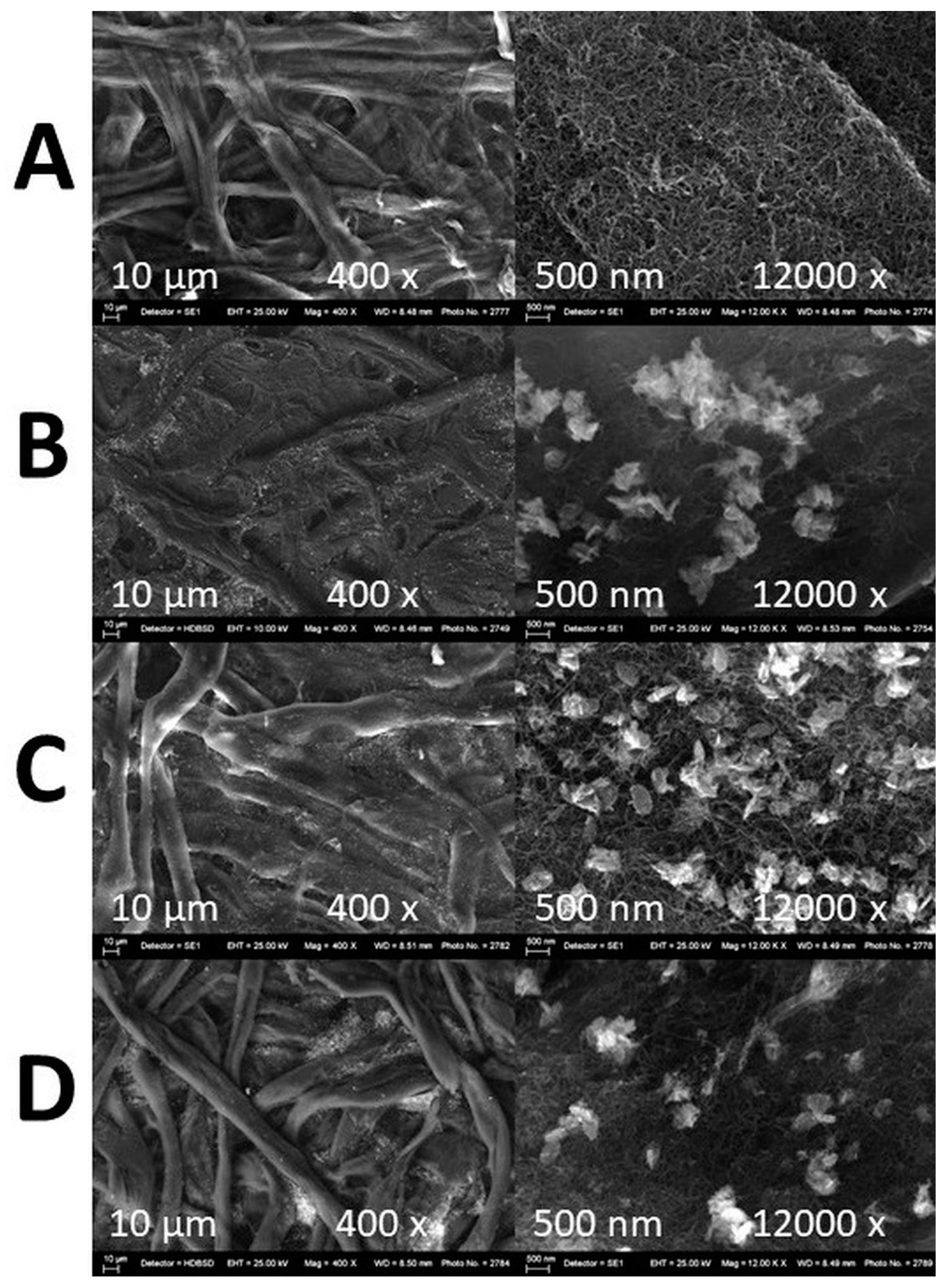 Nanomaterials 14 01346 g006