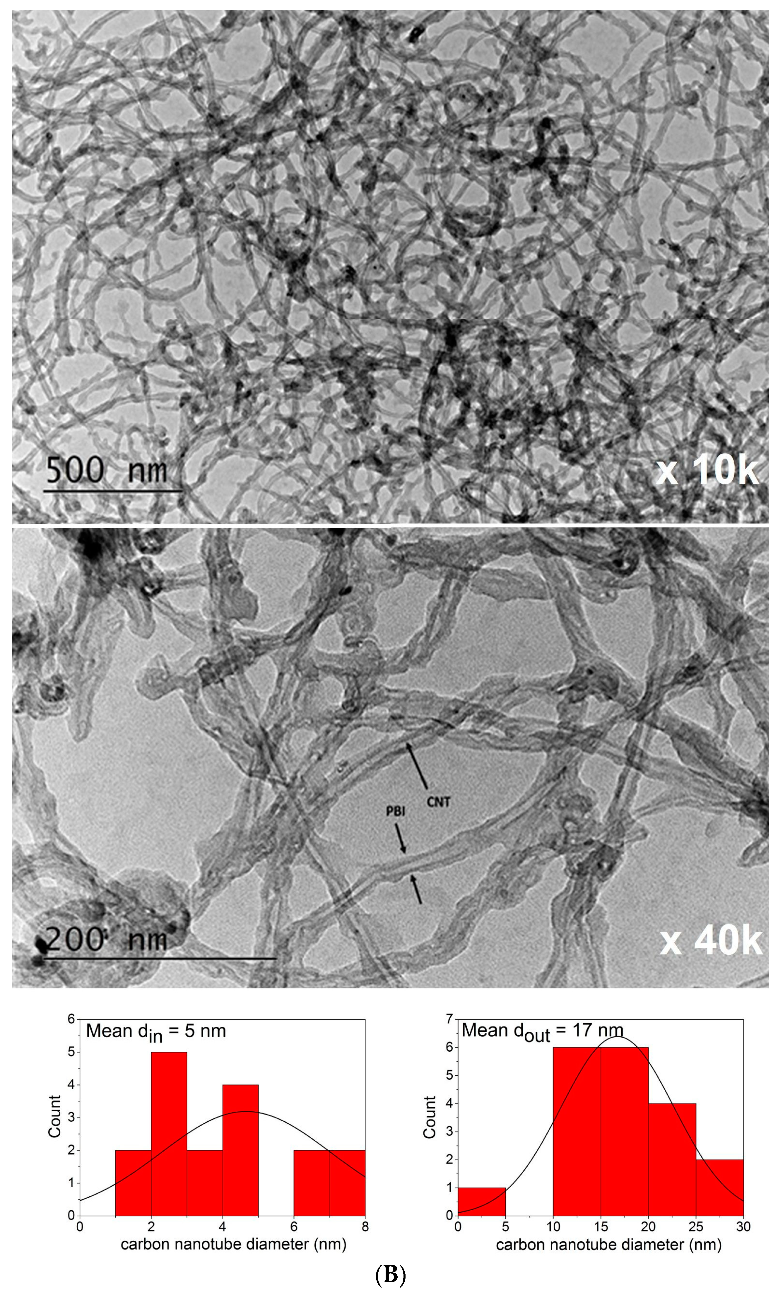 Nanomaterials 14 01346 g011b