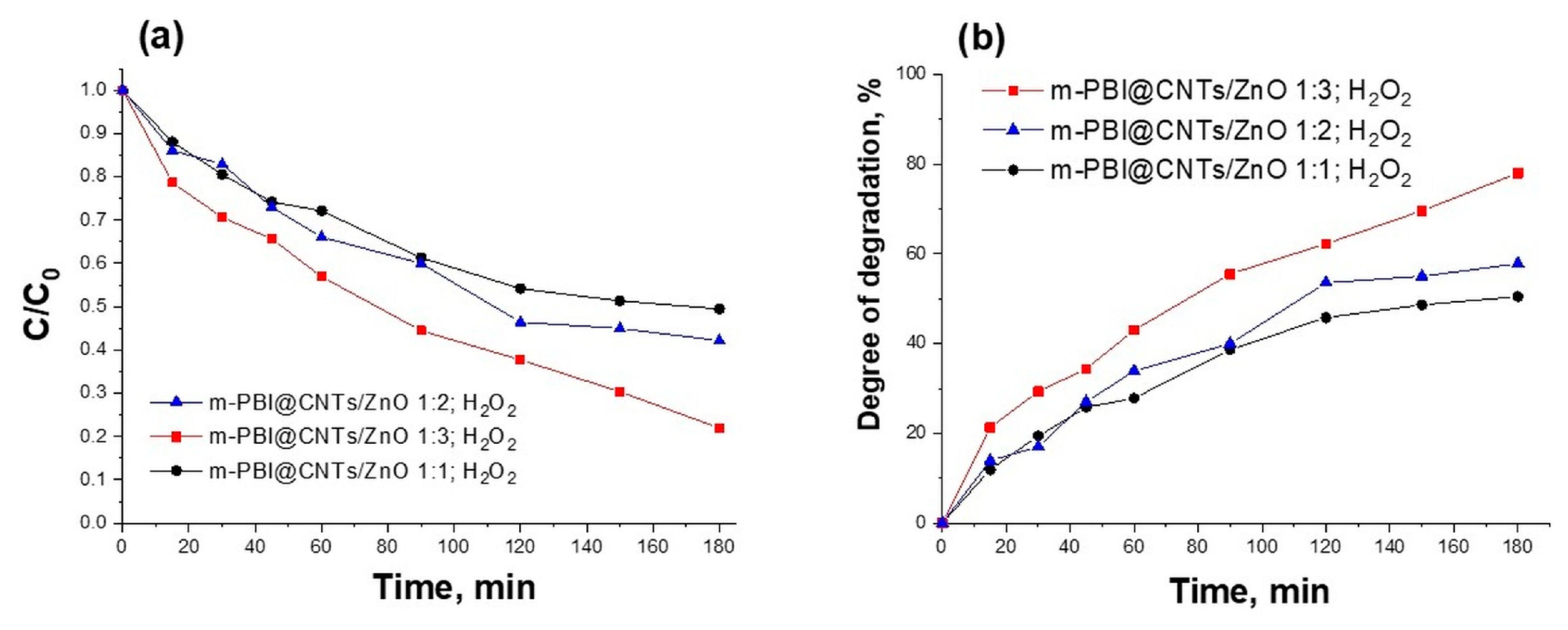 Nanomaterials 14 01346 g015