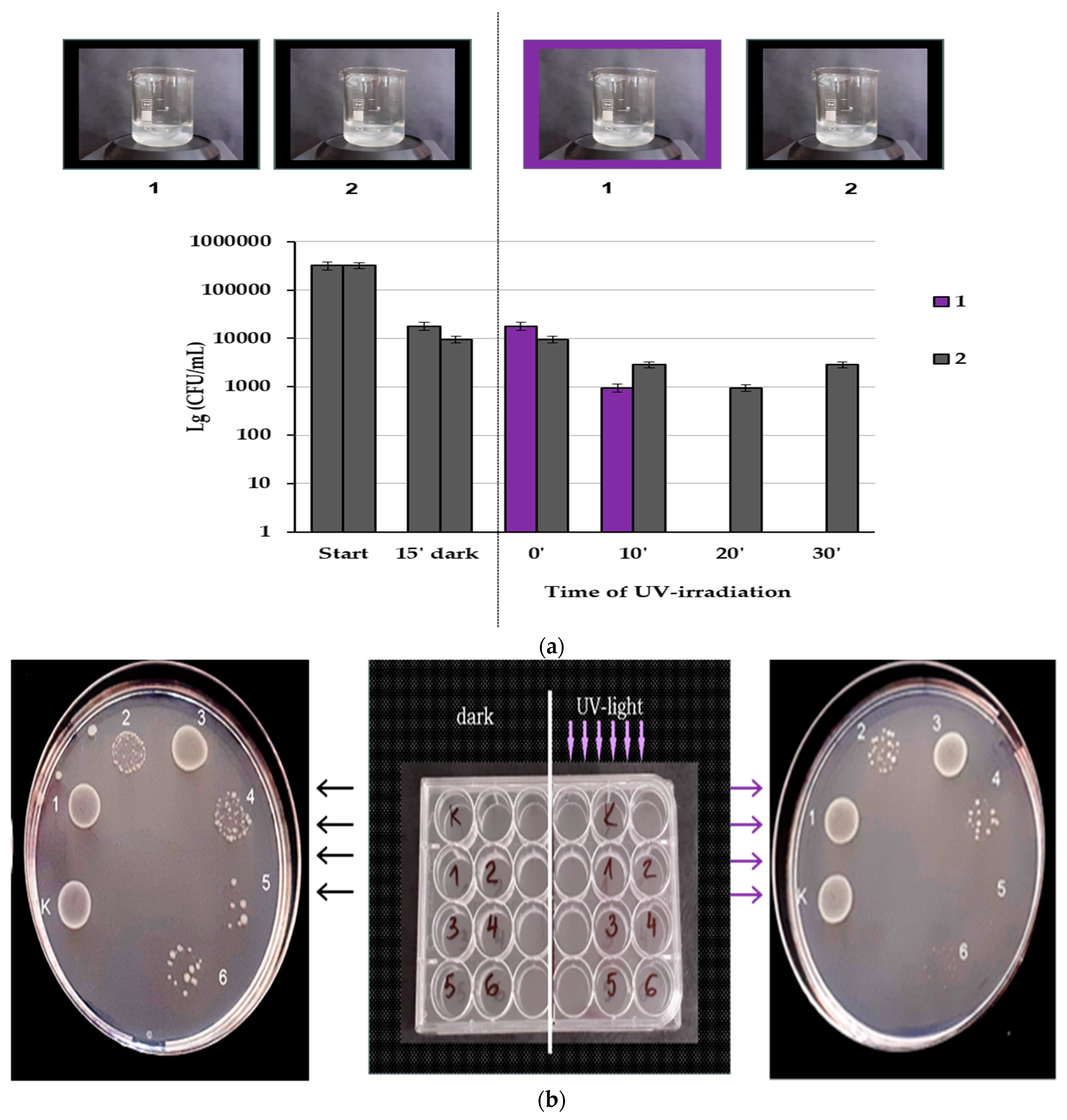 Nanomaterials 14 01346 g019