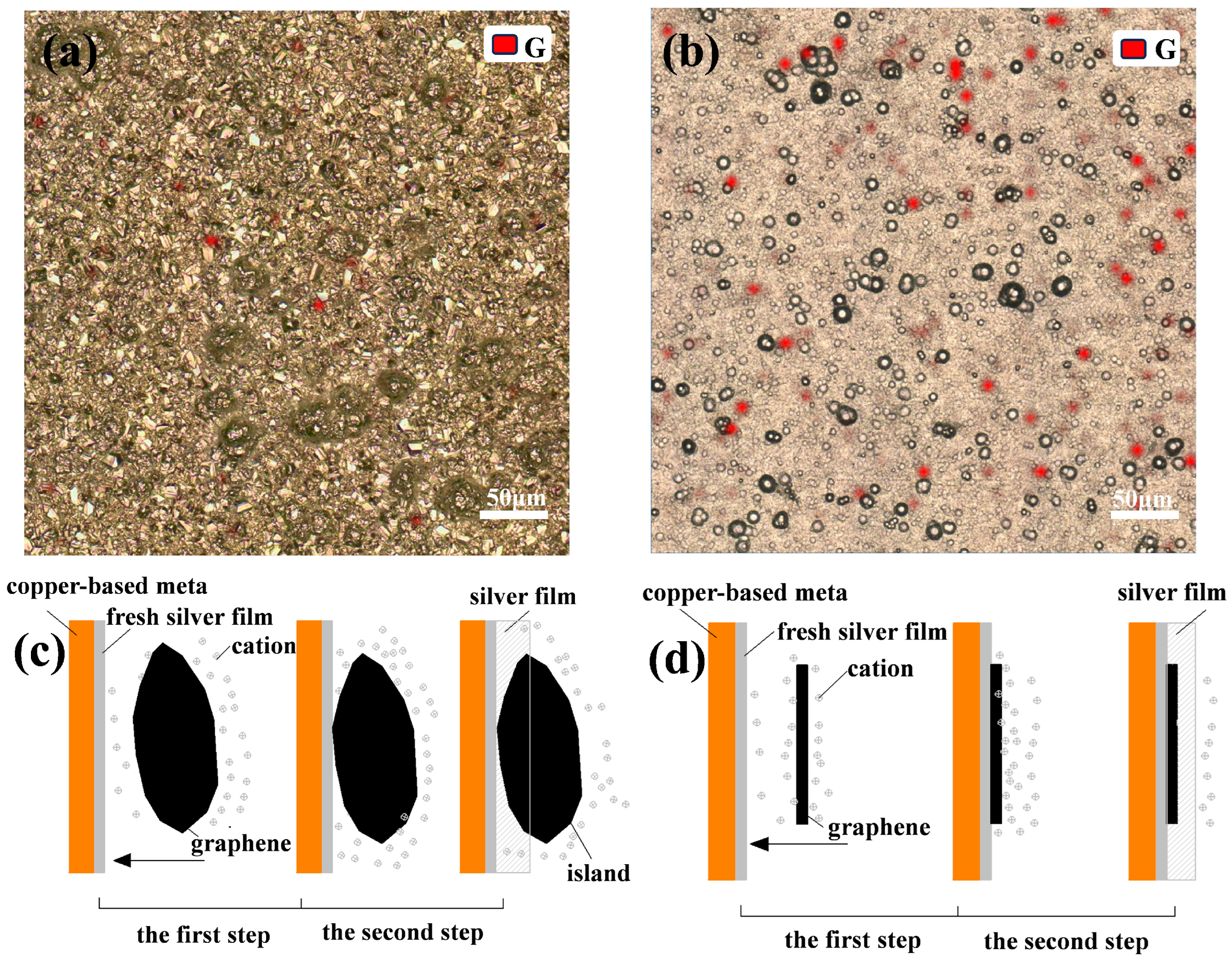 Nanomaterials 14 01349 g005