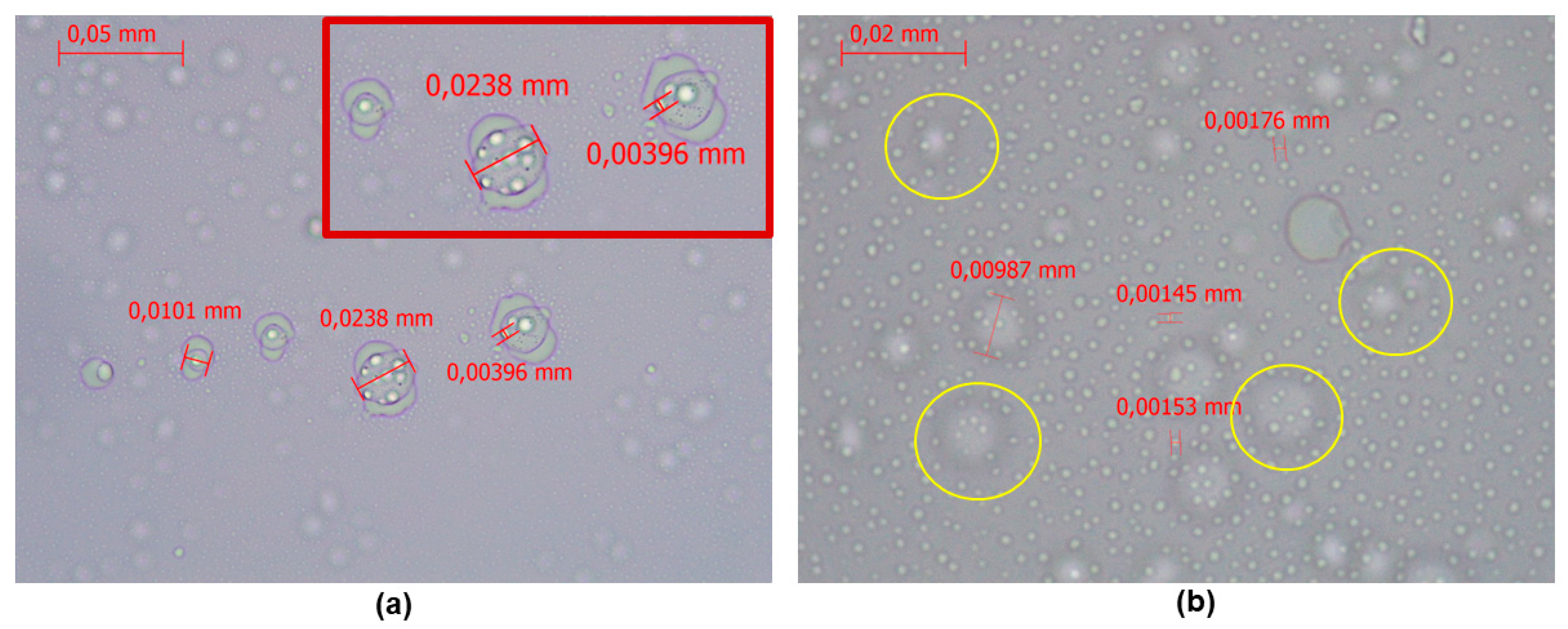 Nanomaterials 14 01351 g010