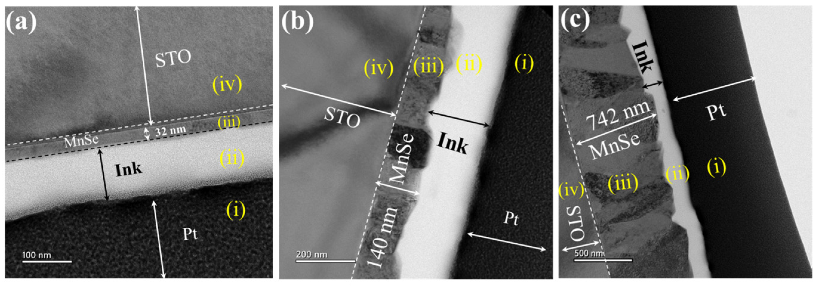 Nanomaterials 14 01355 g001