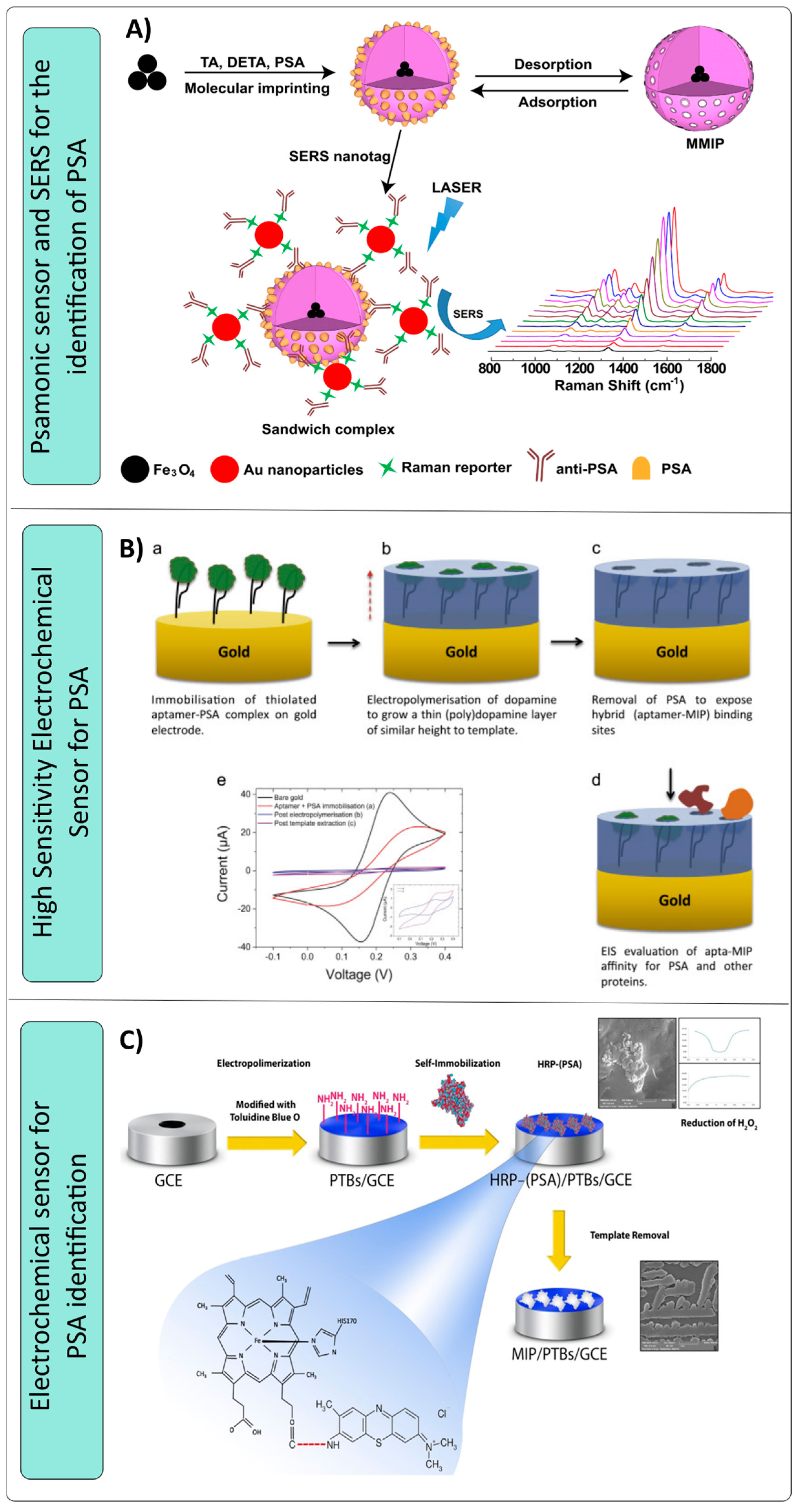 Nanomaterials 14 01361 g004