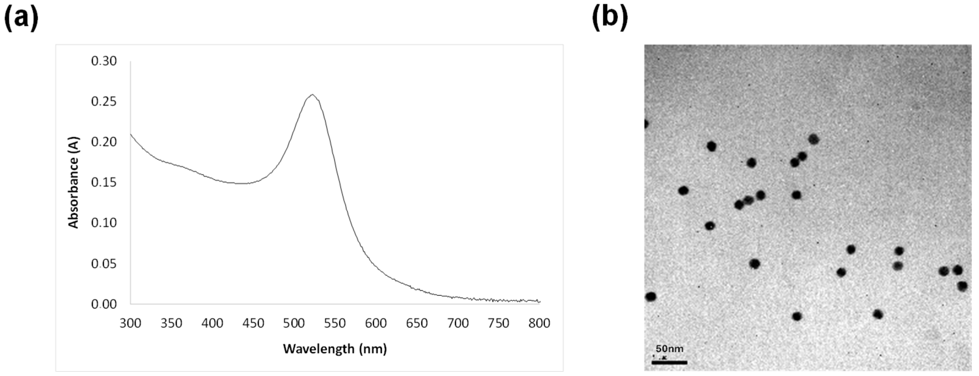 Nanomaterials 14 01364 g001
