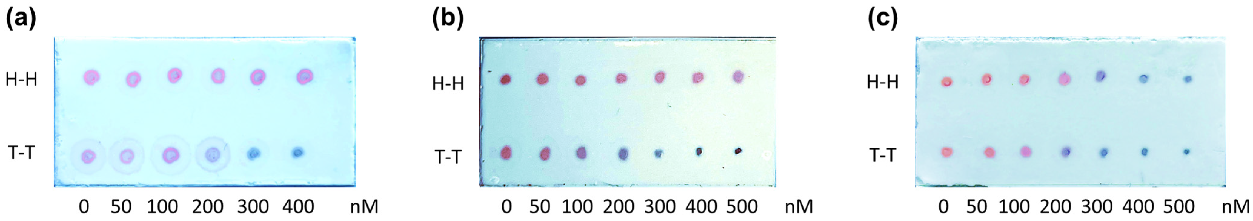 Nanomaterials 14 01364 g006