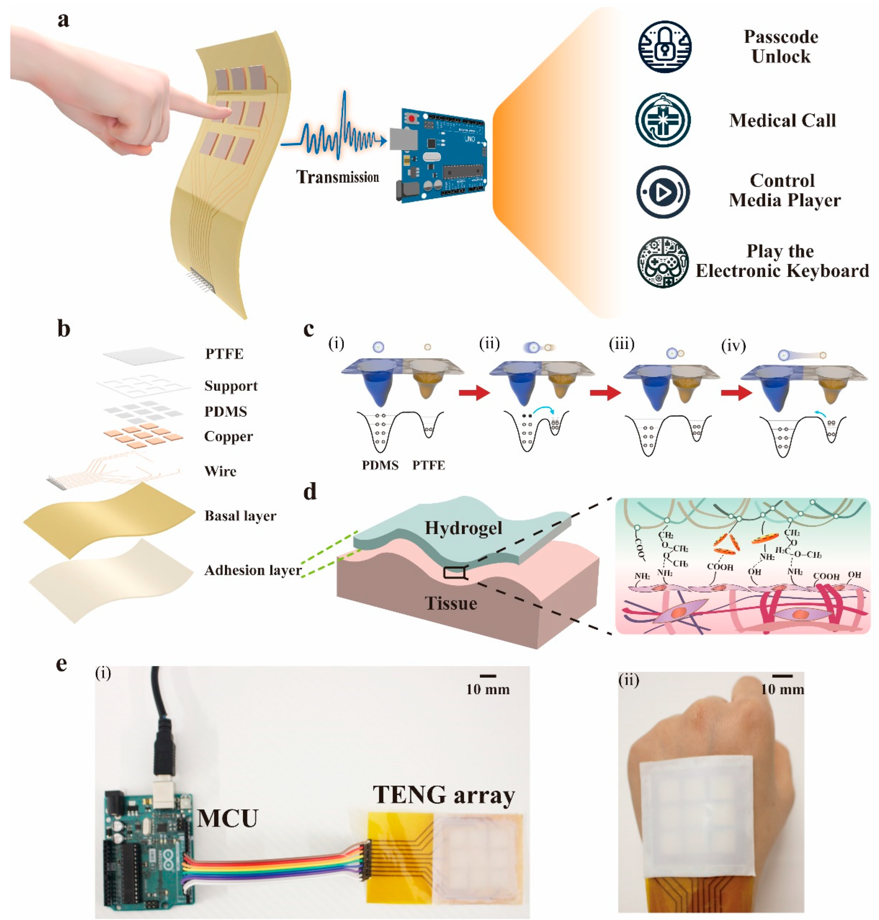 Nanomaterials 14 01365 g001