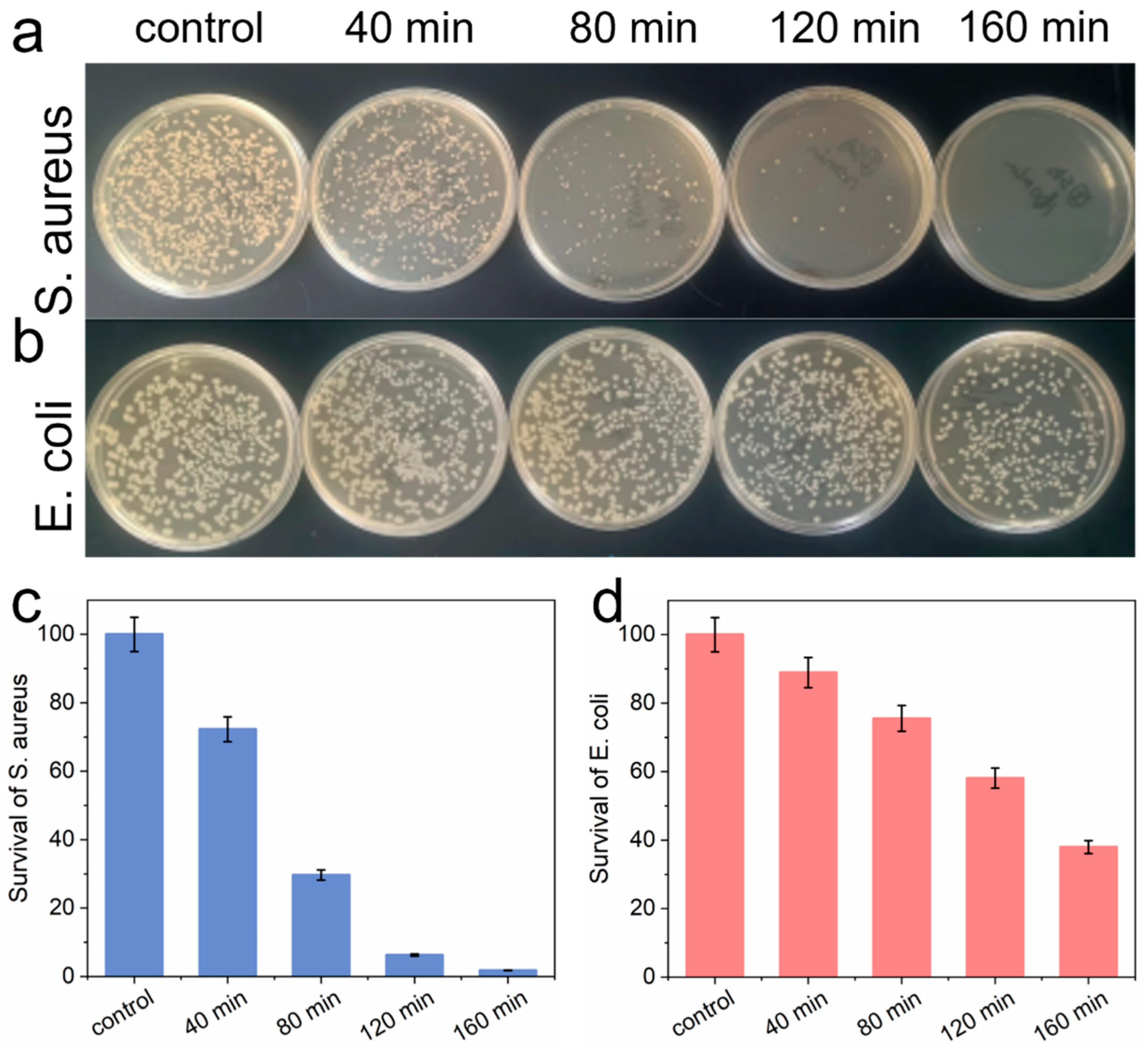 Nanomaterials 14 01369 g004