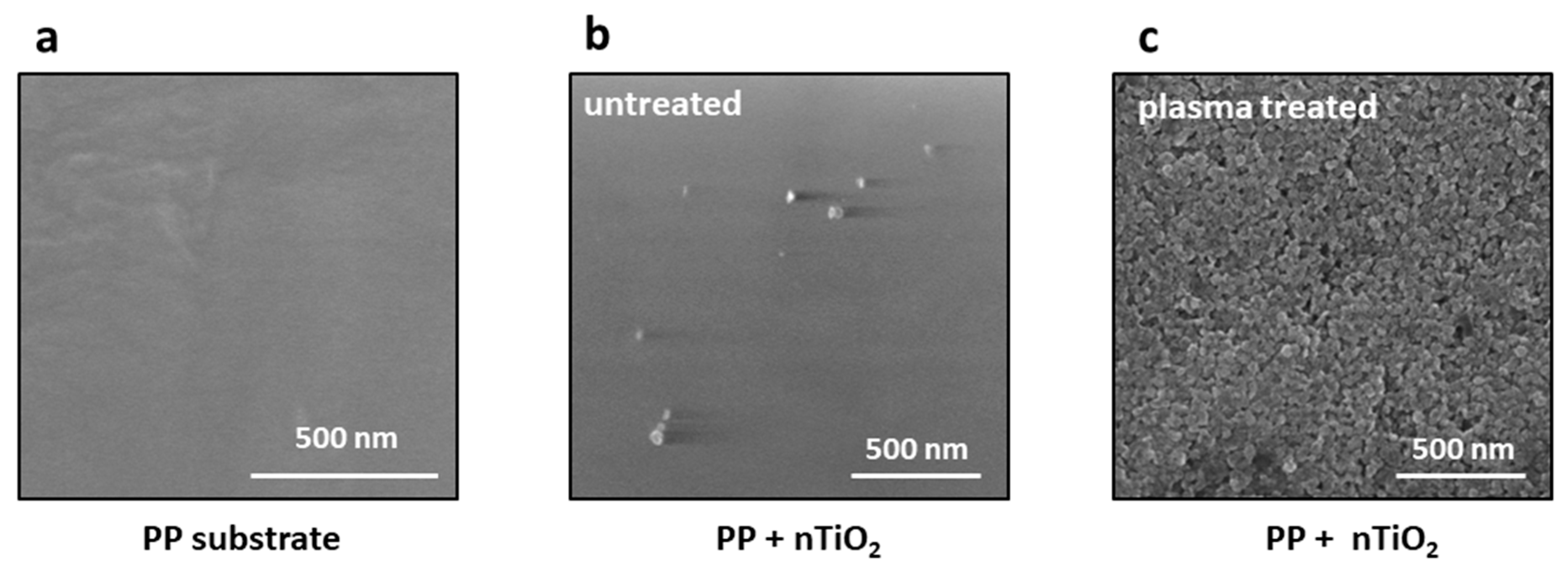 Nanomaterials 14 01372 g006
