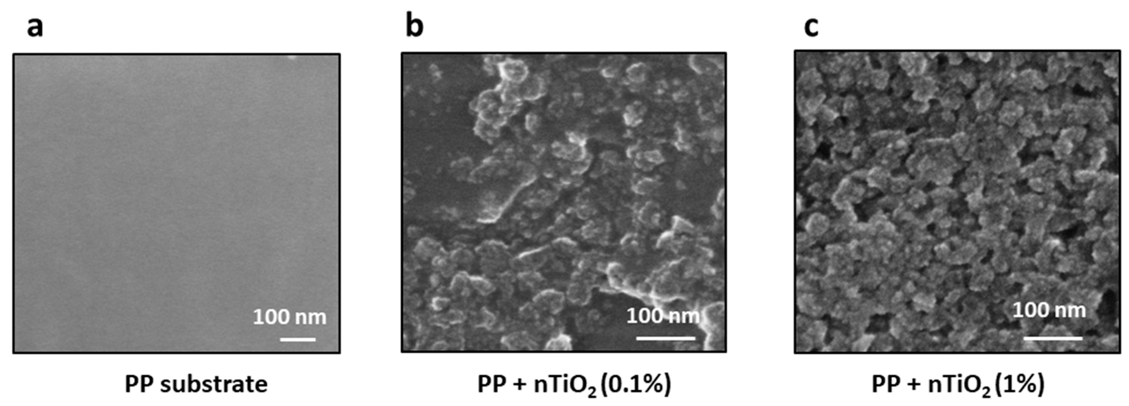 Nanomaterials 14 01372 g007