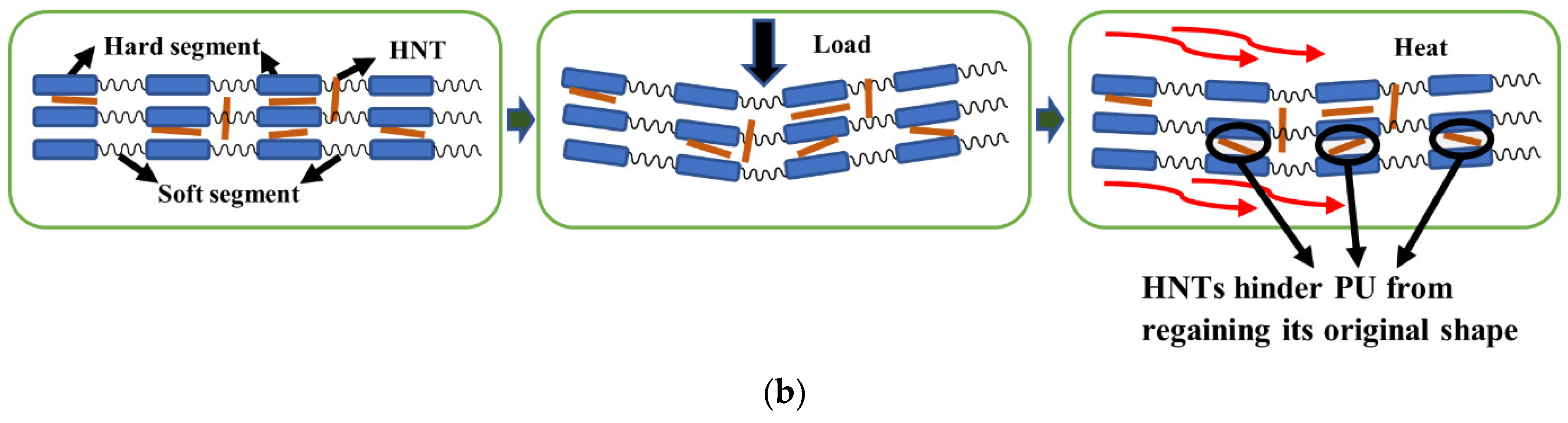 Nanomaterials 14 01373 g012b