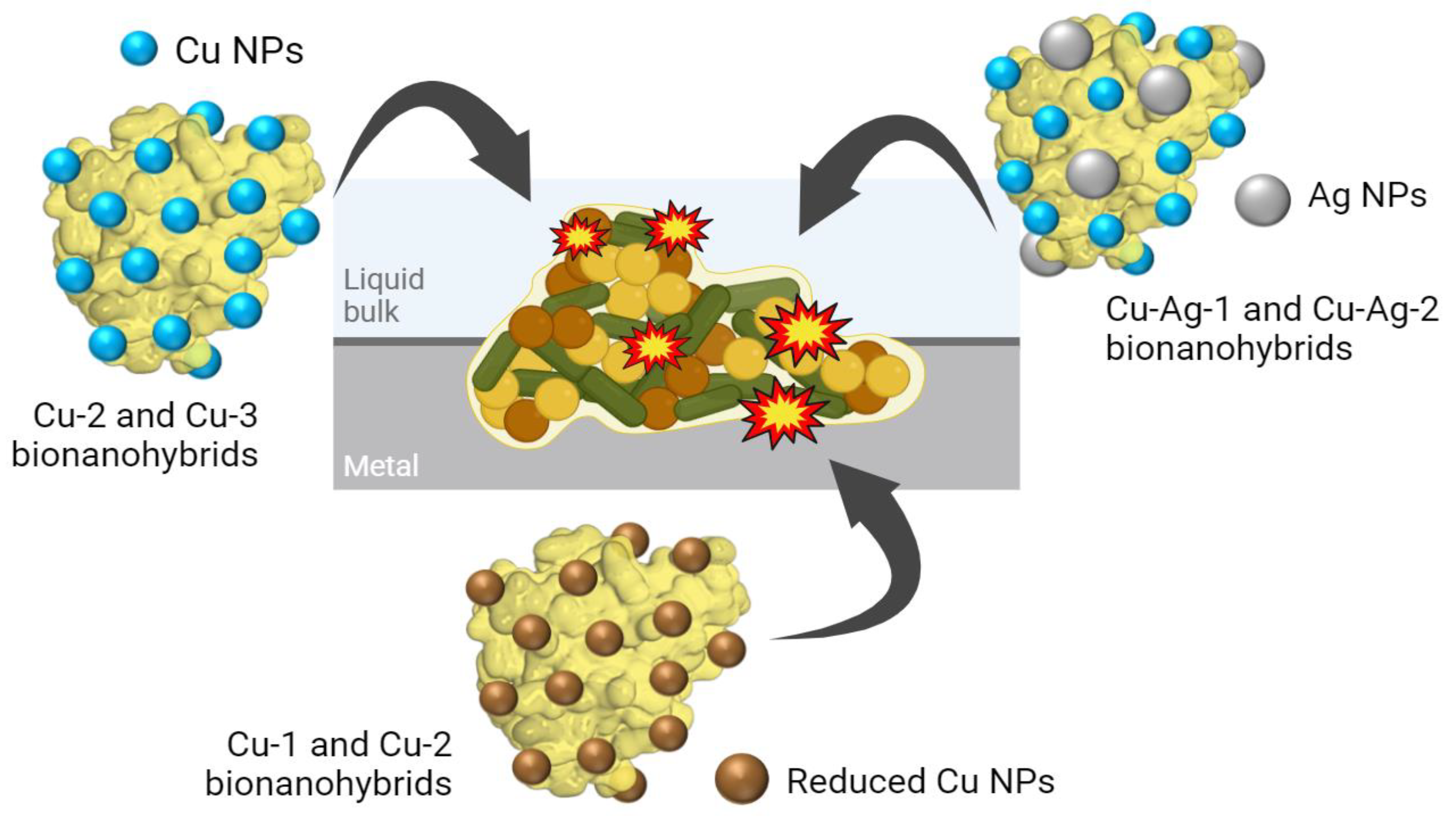 Nanomaterials 14 01376 g001