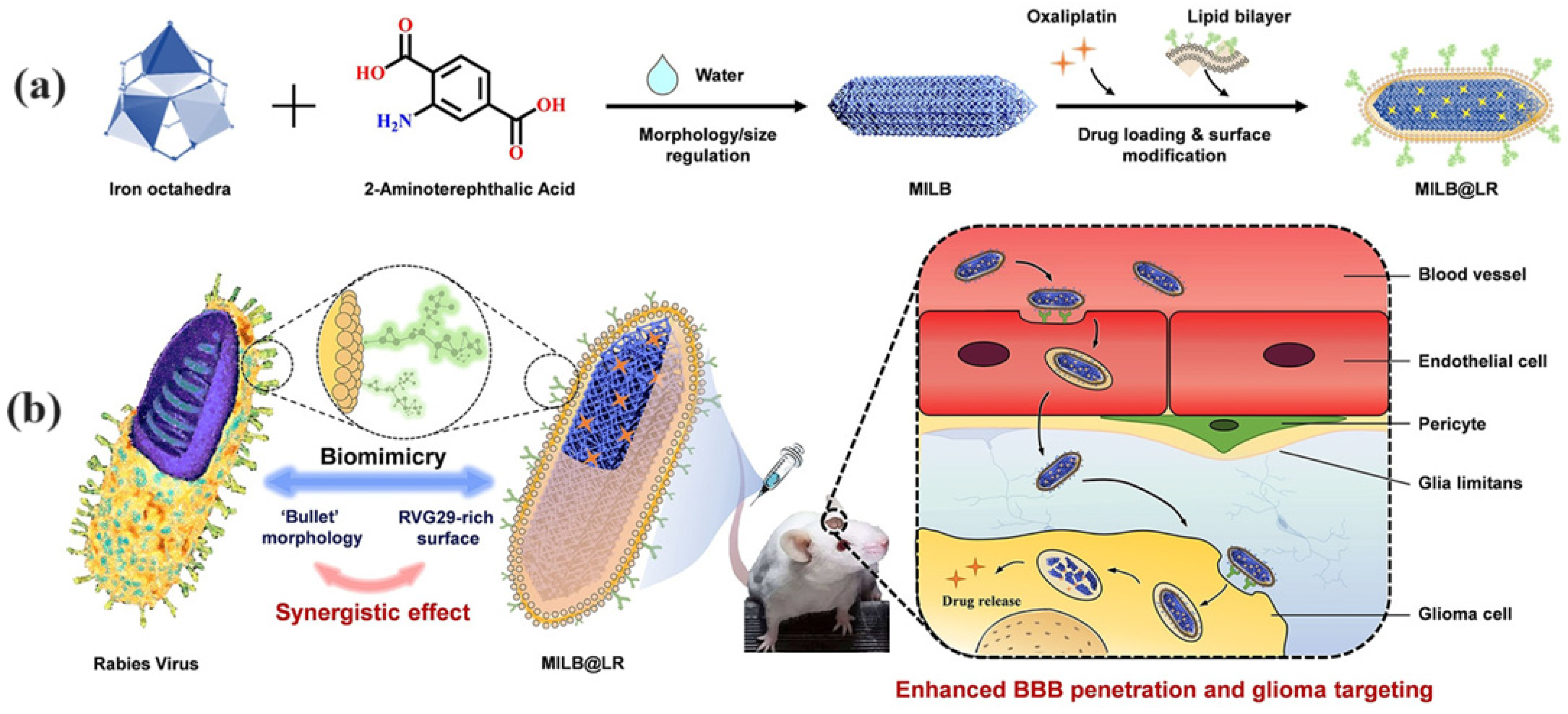 Nanomaterials 14 01379 g001