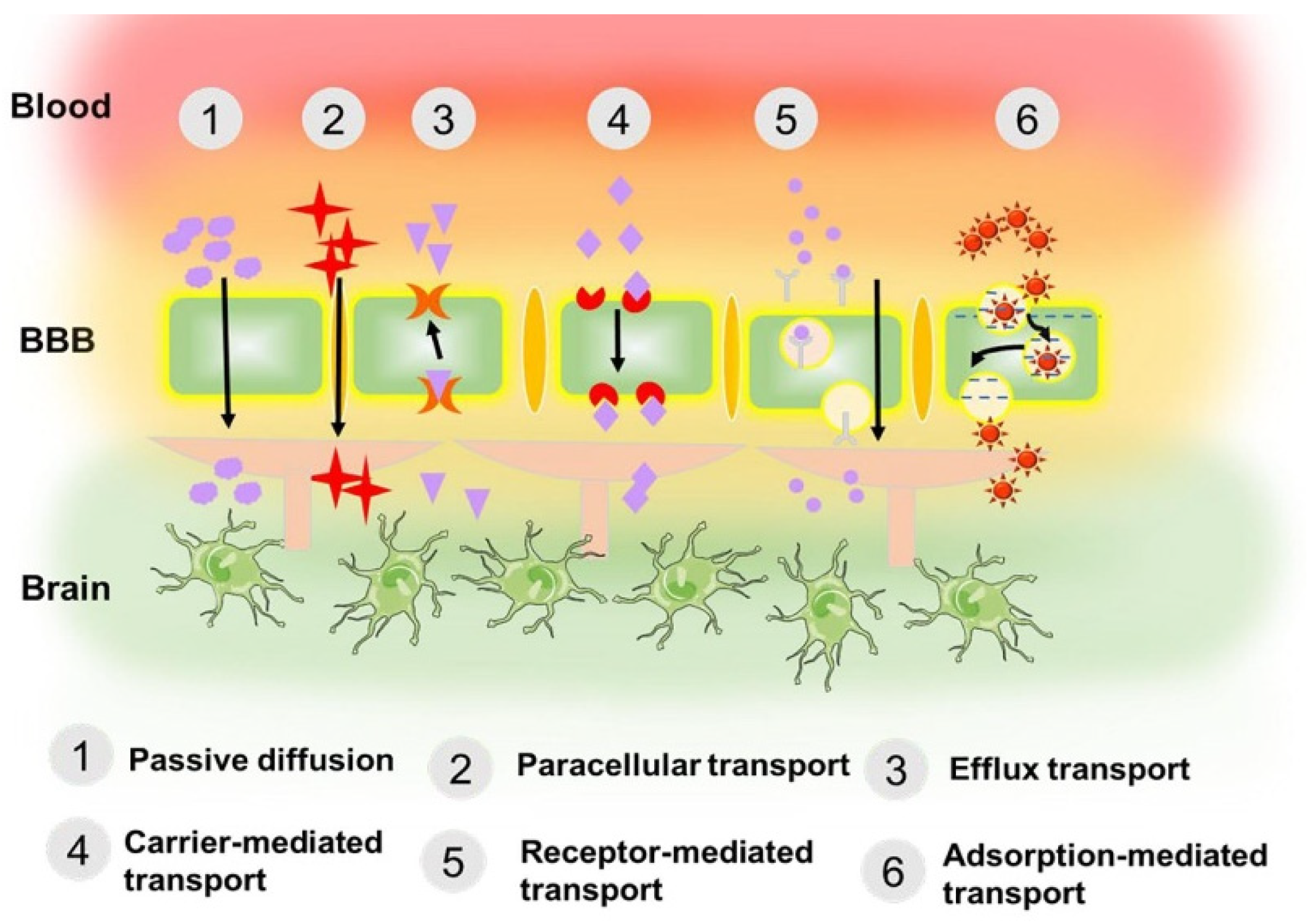 Nanomaterials 14 01379 sch002