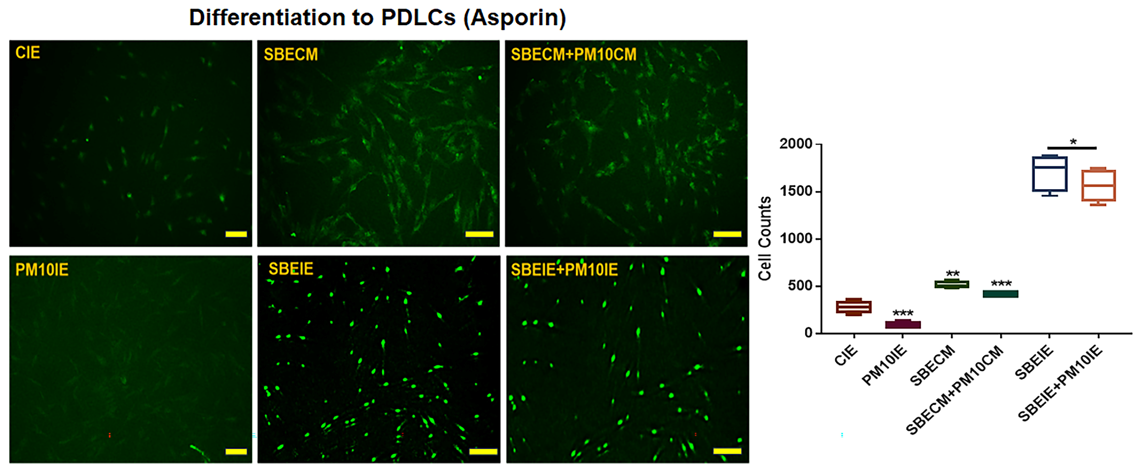 Nanomaterials 14 01396 g005